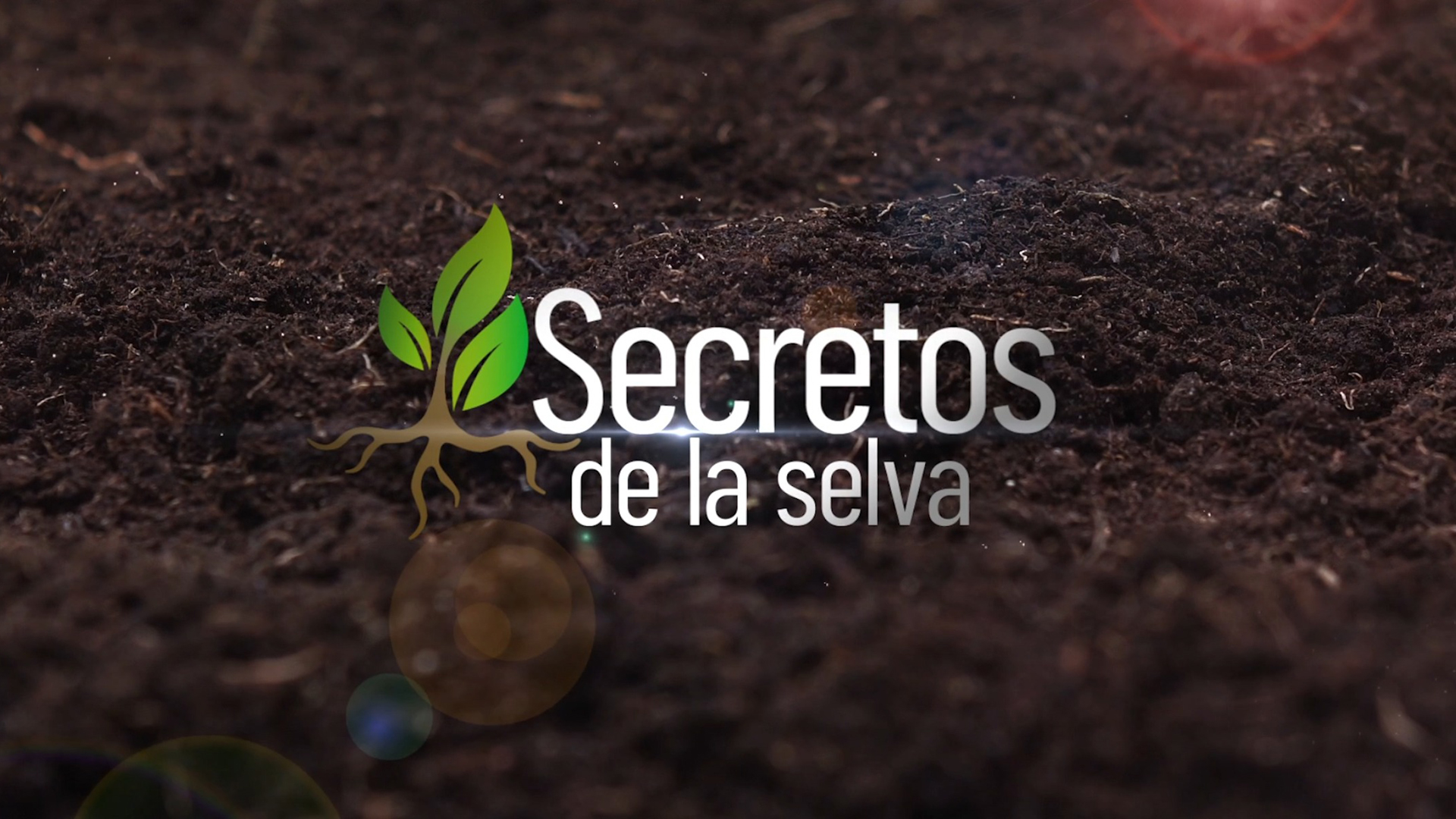 Secretos de la selva