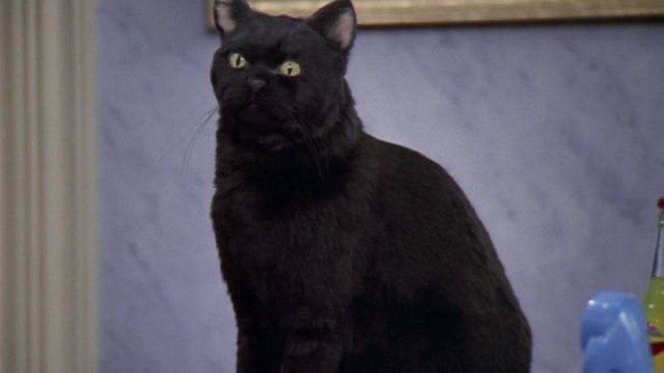 Sabrina: The Teenage Witch