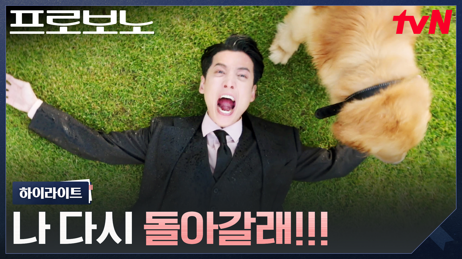 부장판사를 앞두고 강제 퇴사하게 된 정경호