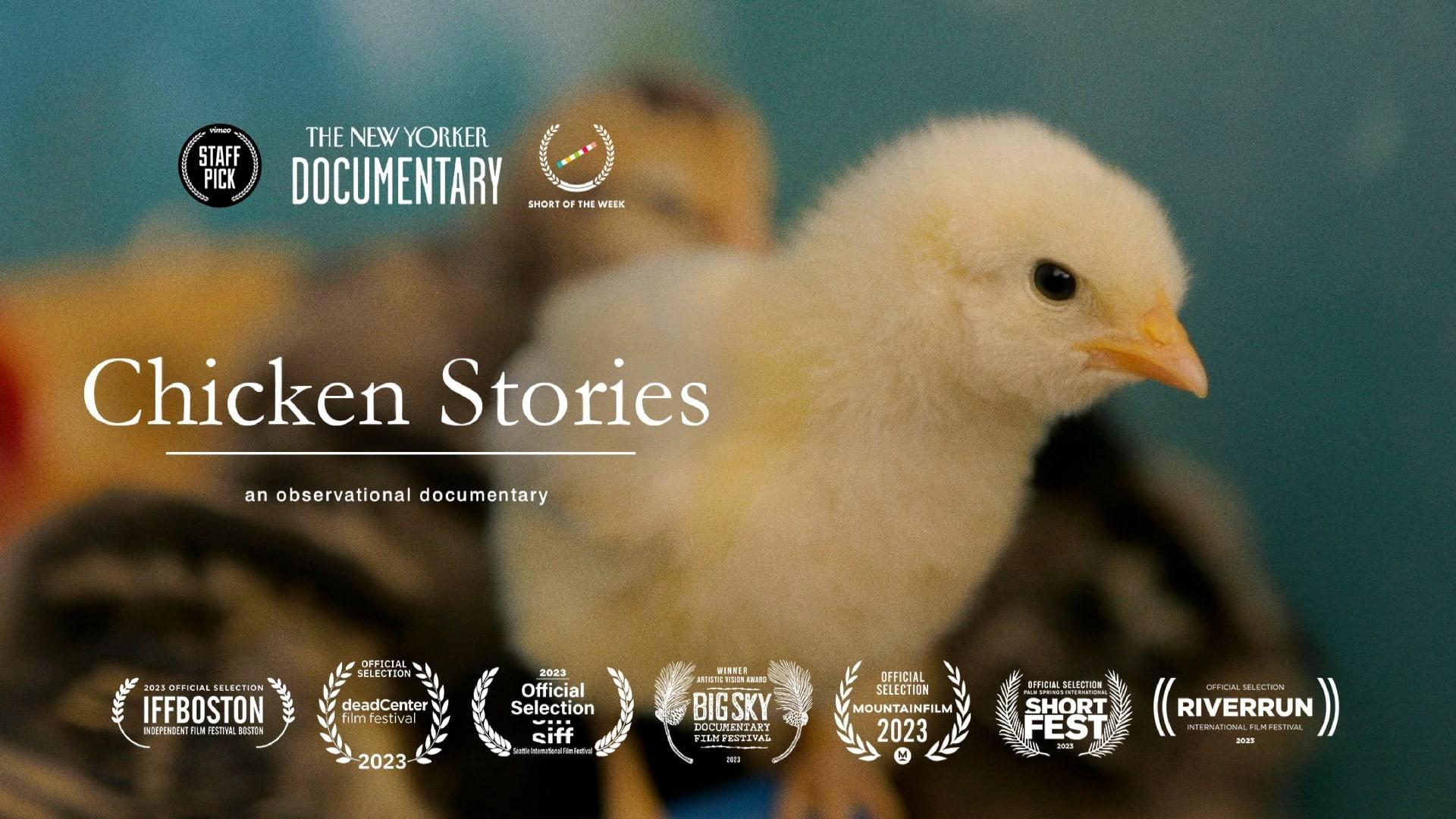 Chicken Stories