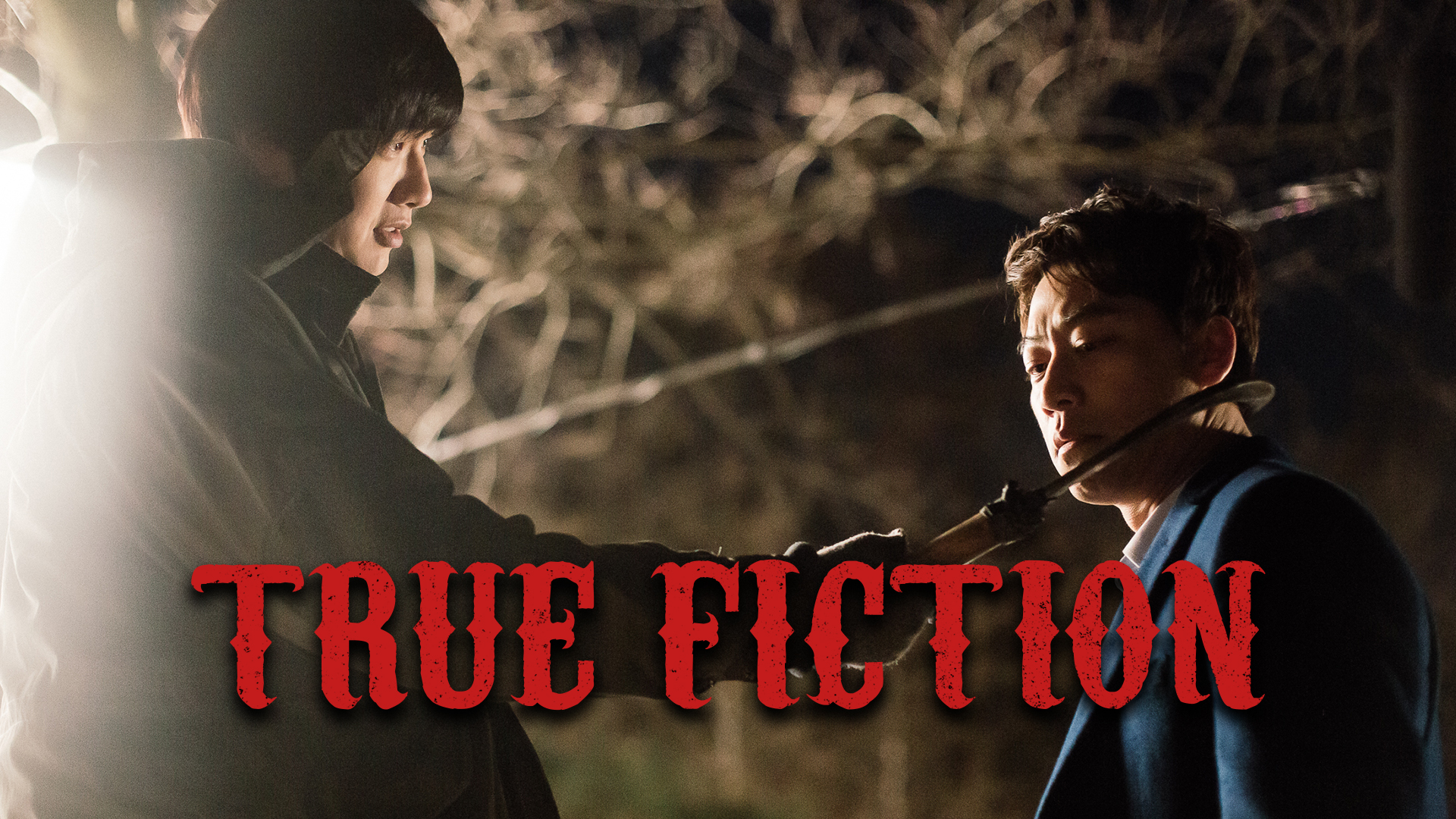 True Fiction
