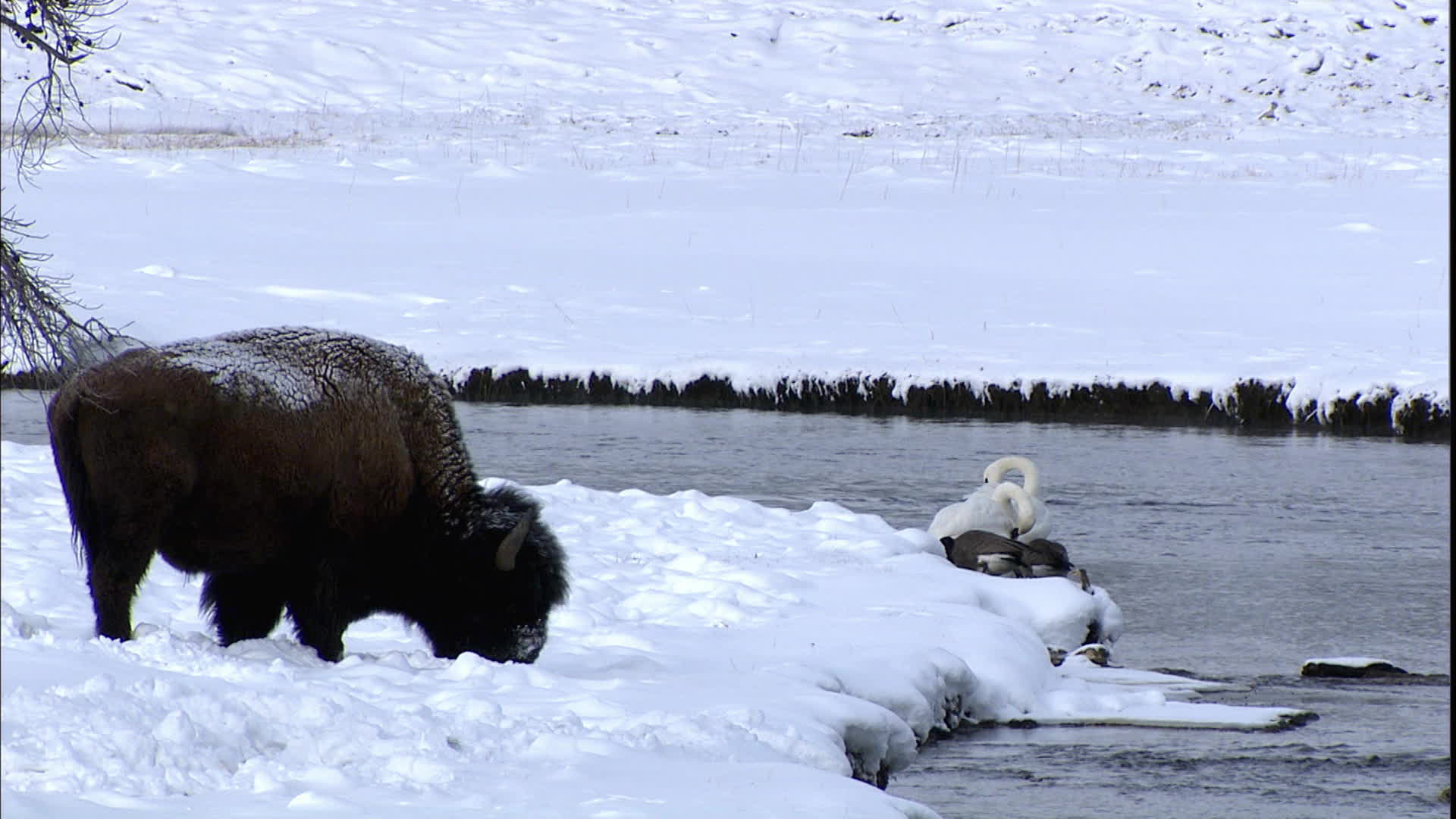 How The Earth Was Made