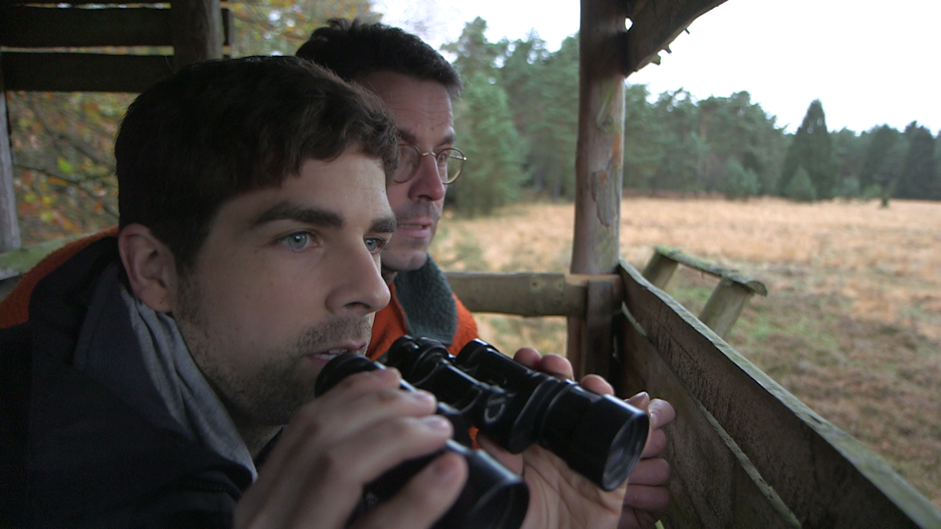 Die Rückkehr der Raubtiere