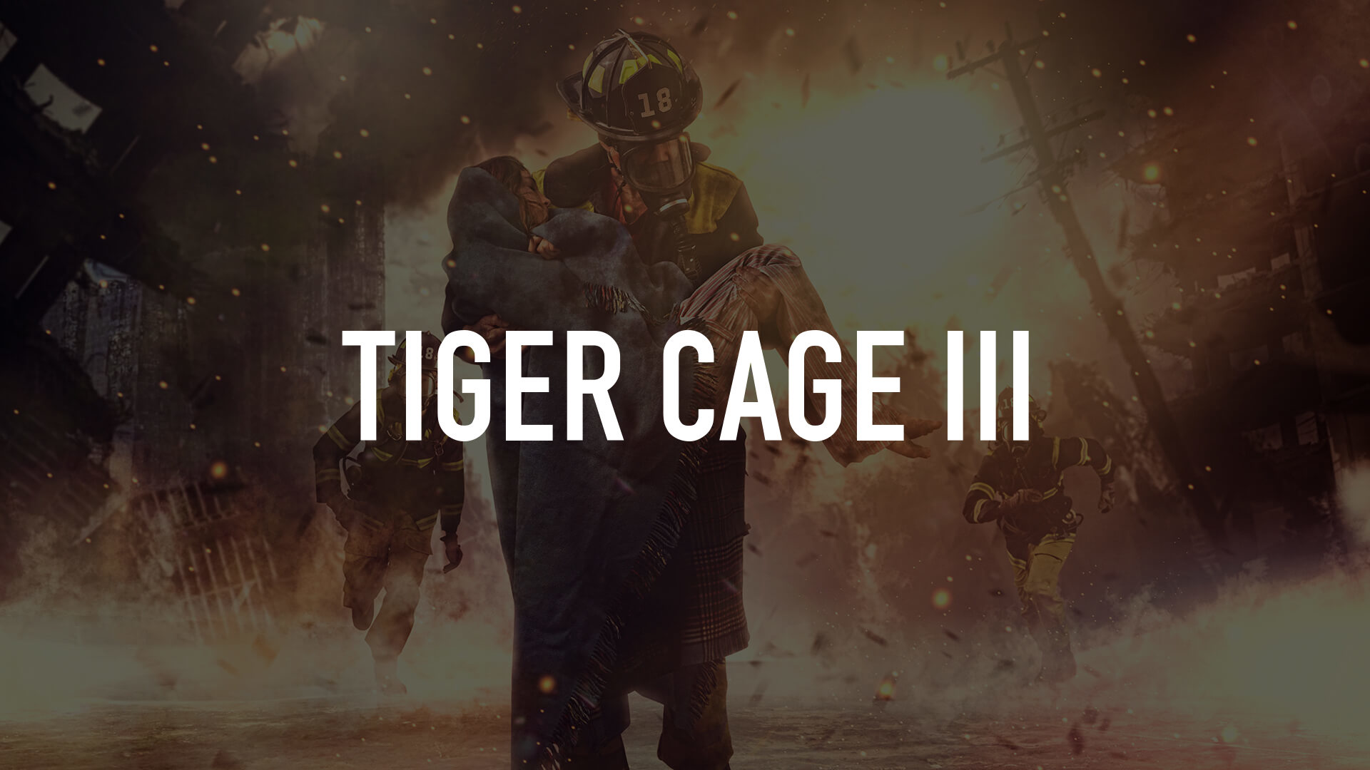 Tiger Cage III