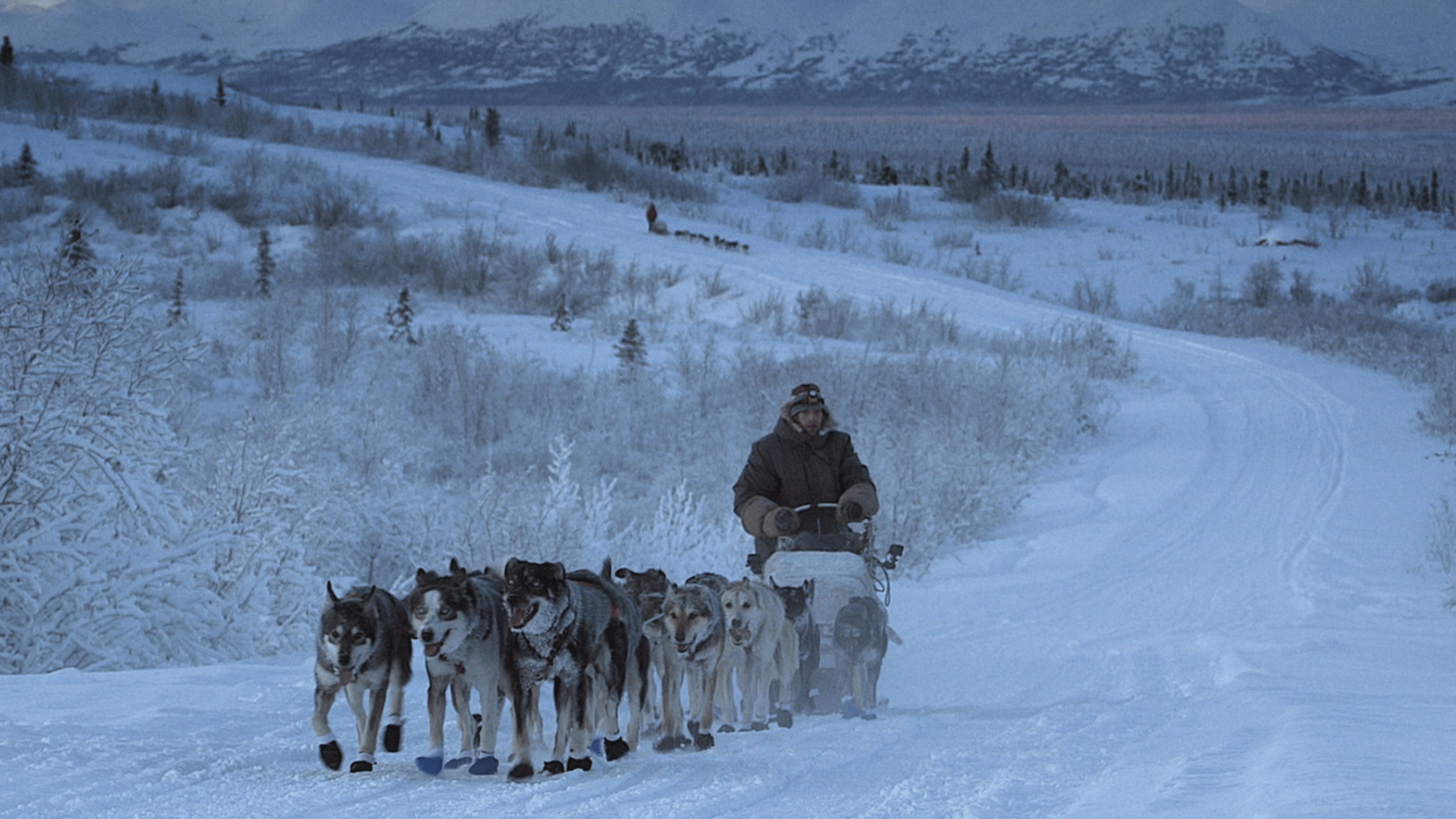 Life Below Zero