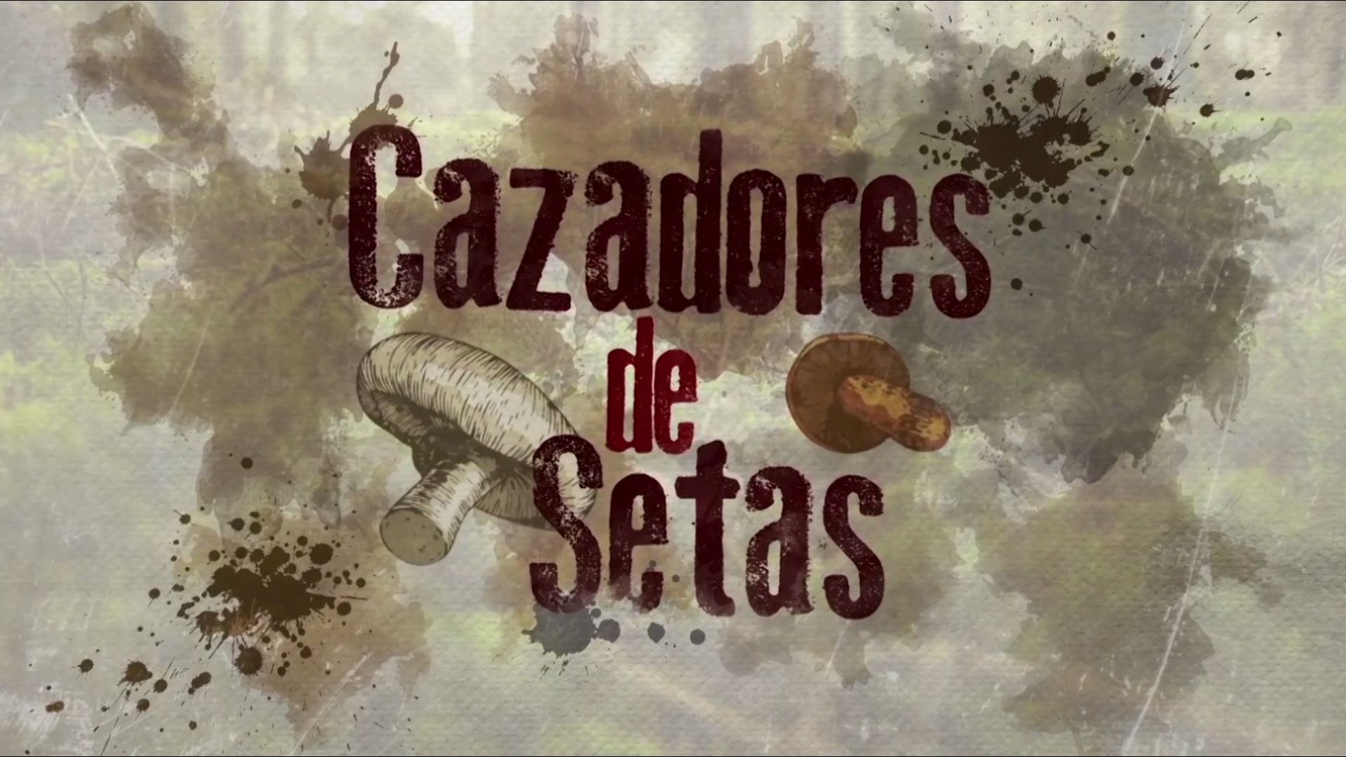 Cazadores de Setas S6 Ep. 48