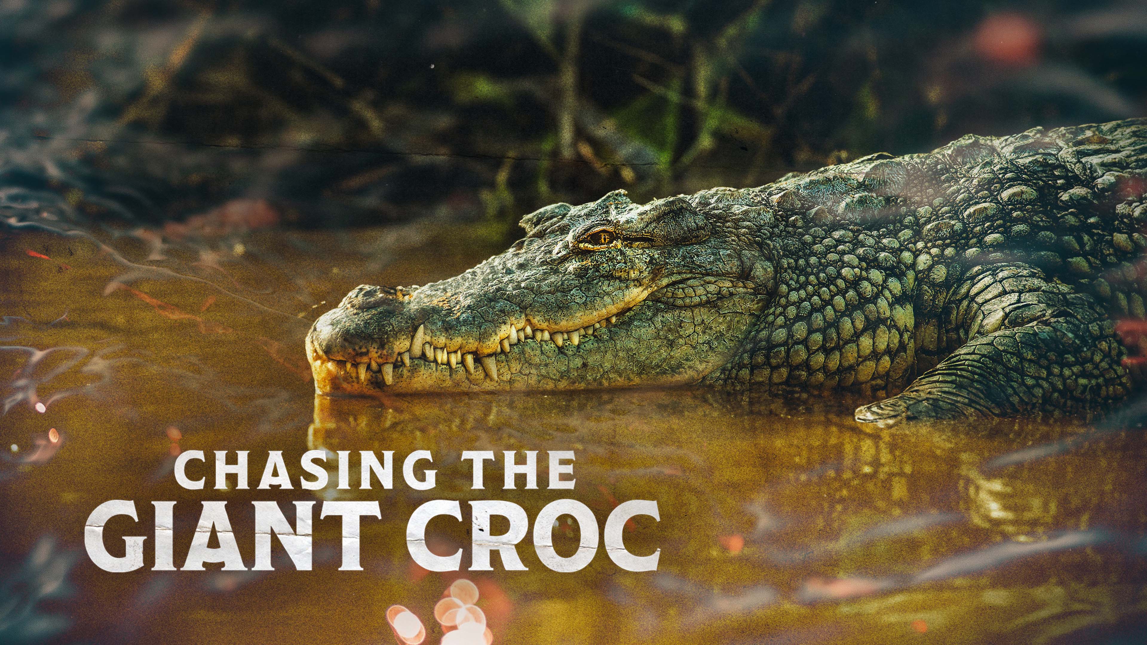 Chasing the Giant Croc