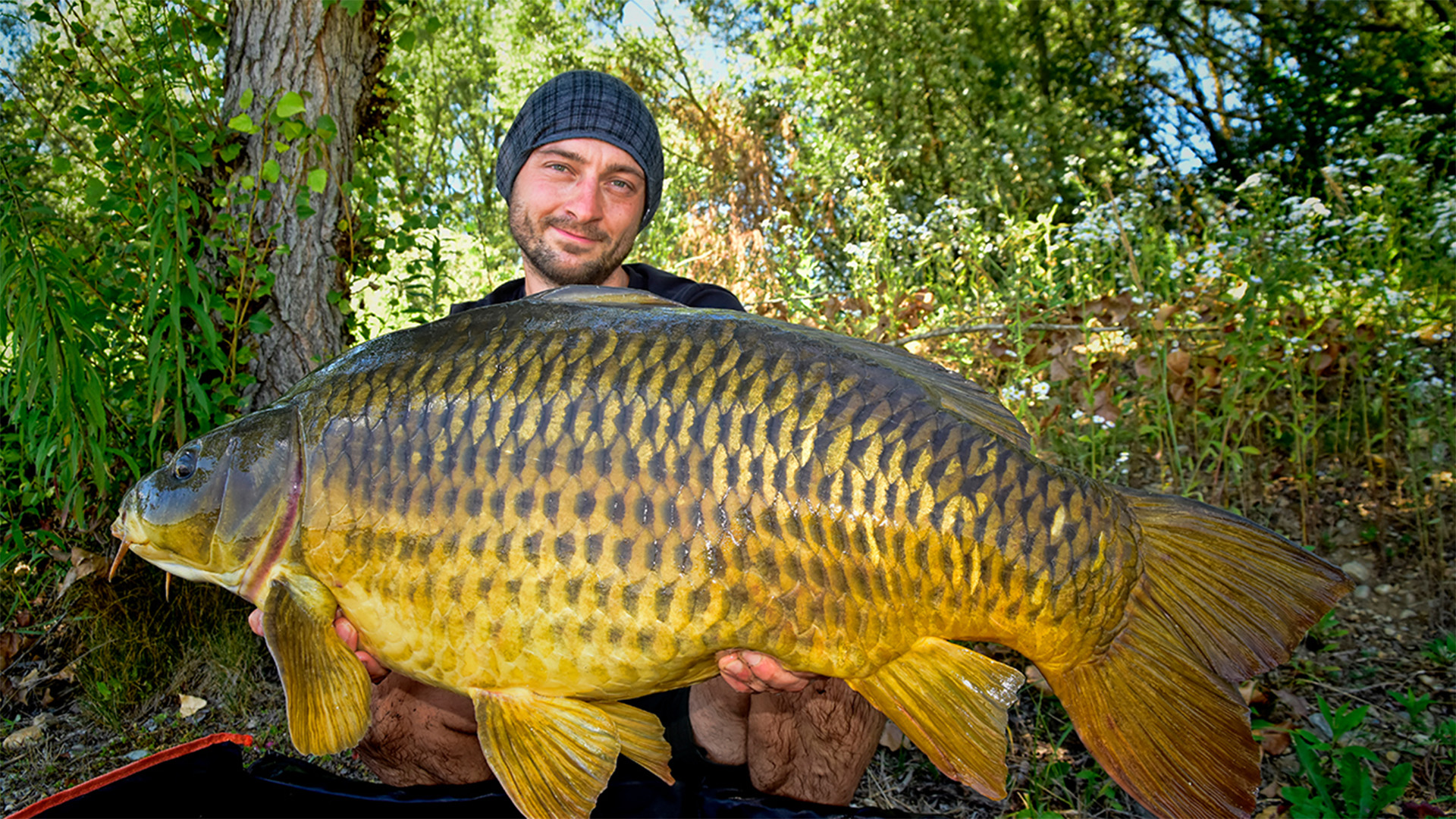 Karpfenangeln unter Büschen