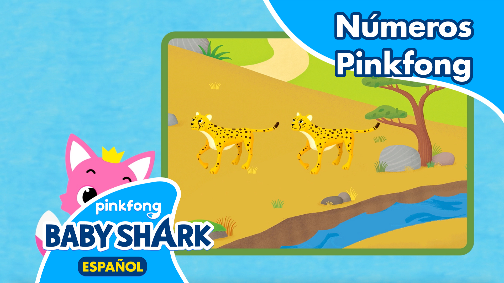 Animales con Números