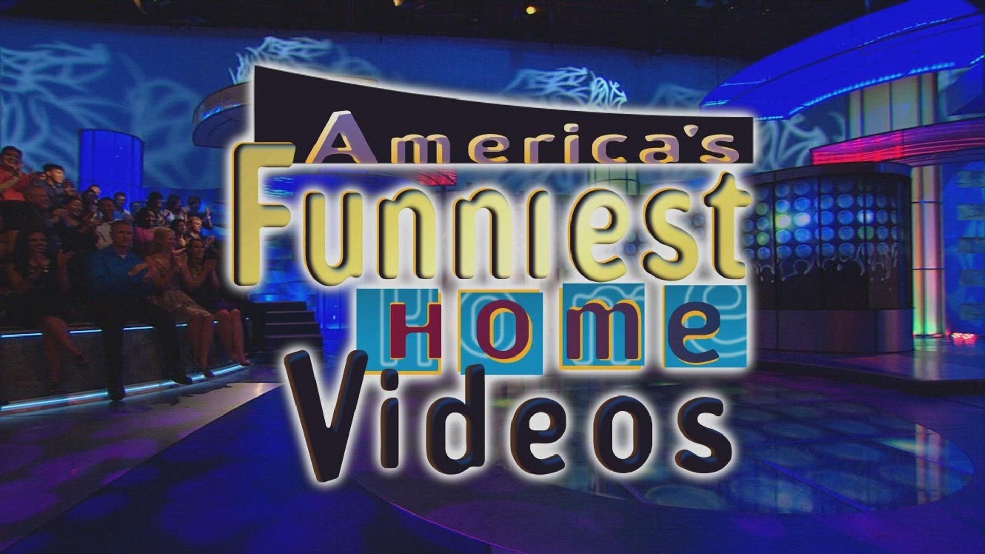 America's Funniest Home Videos