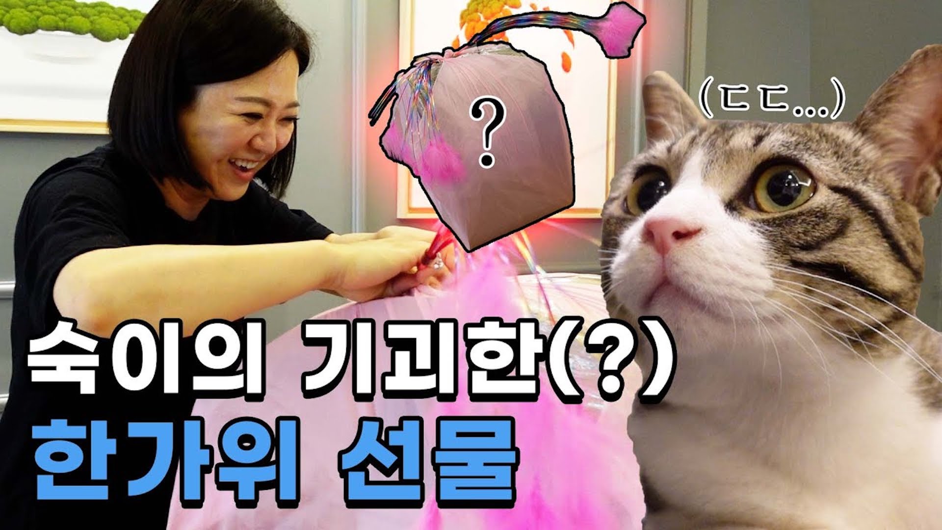🐱고양이 주인님들을 위한 큰손 숙이의 추석맞이 FLEX🎁