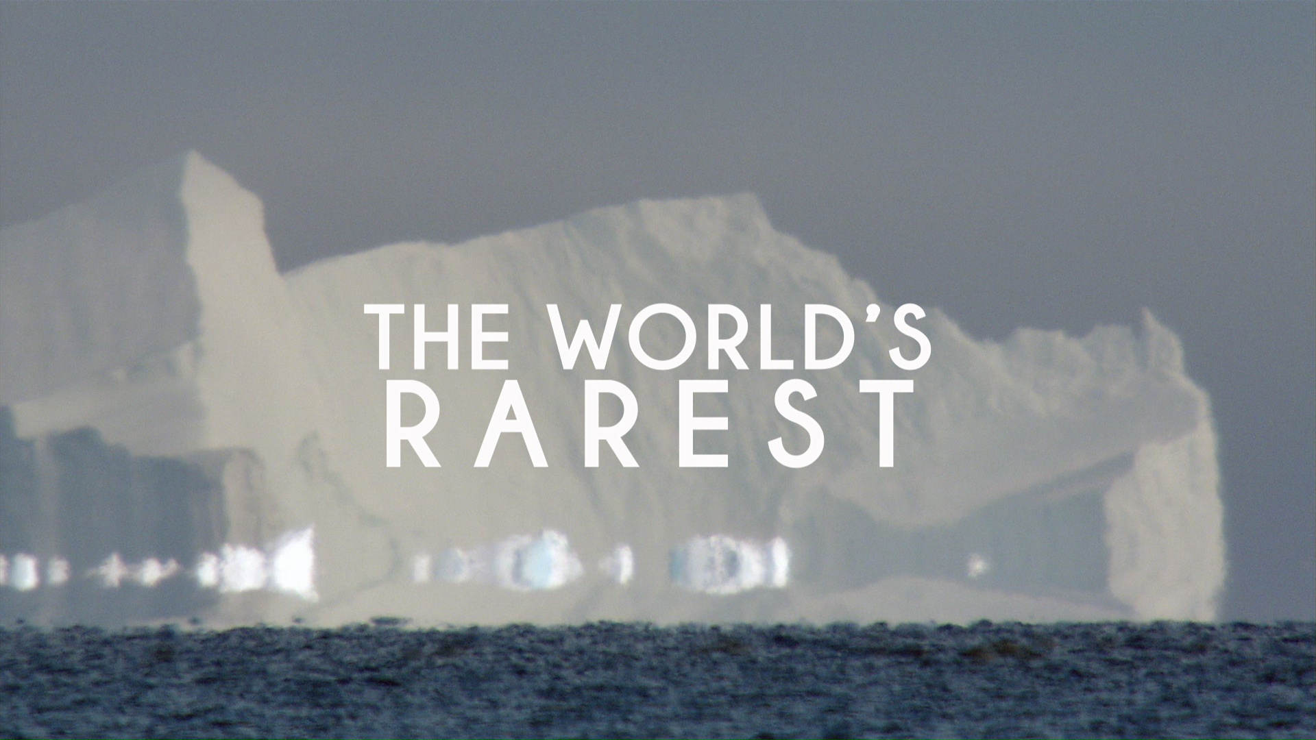World's Rarest