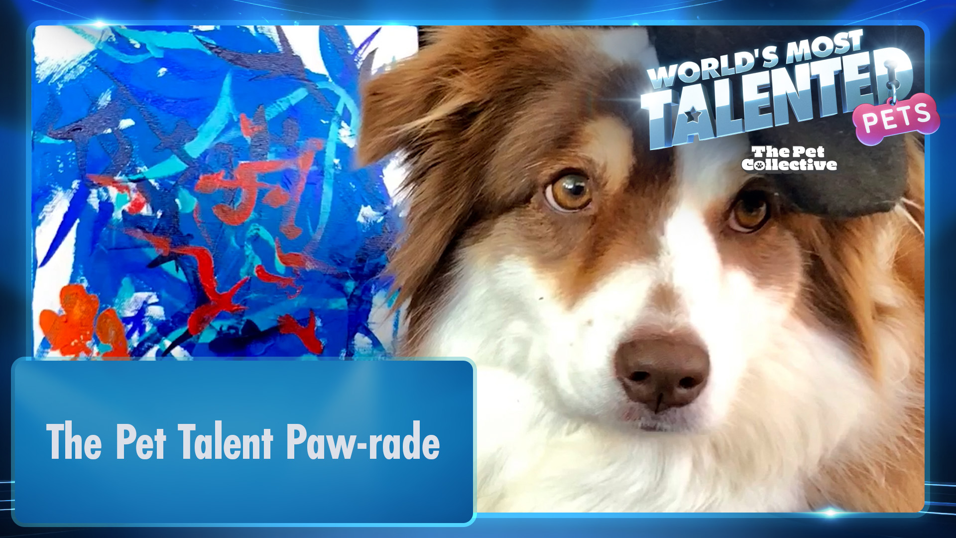 World's Most Talented Pets
