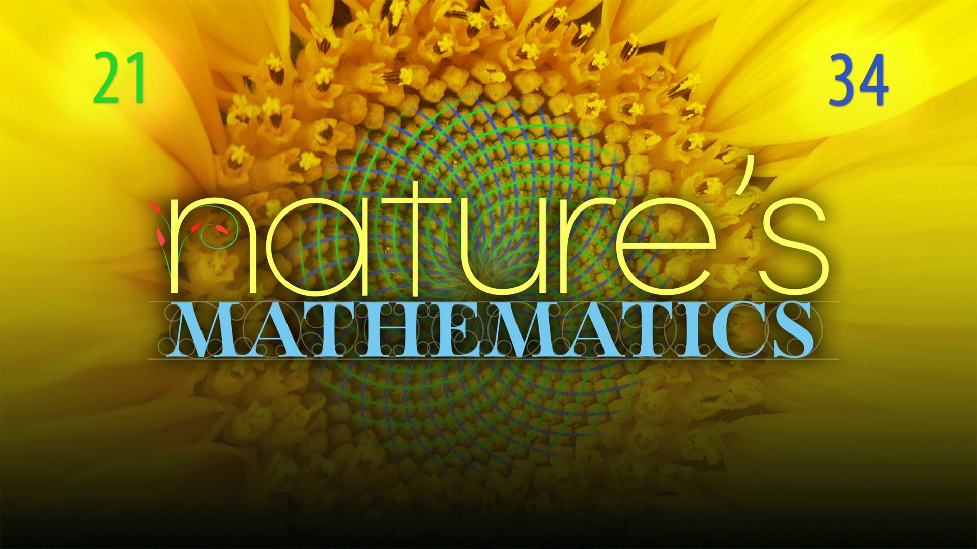 Episodio 1: las matemáticas de la naturaleza