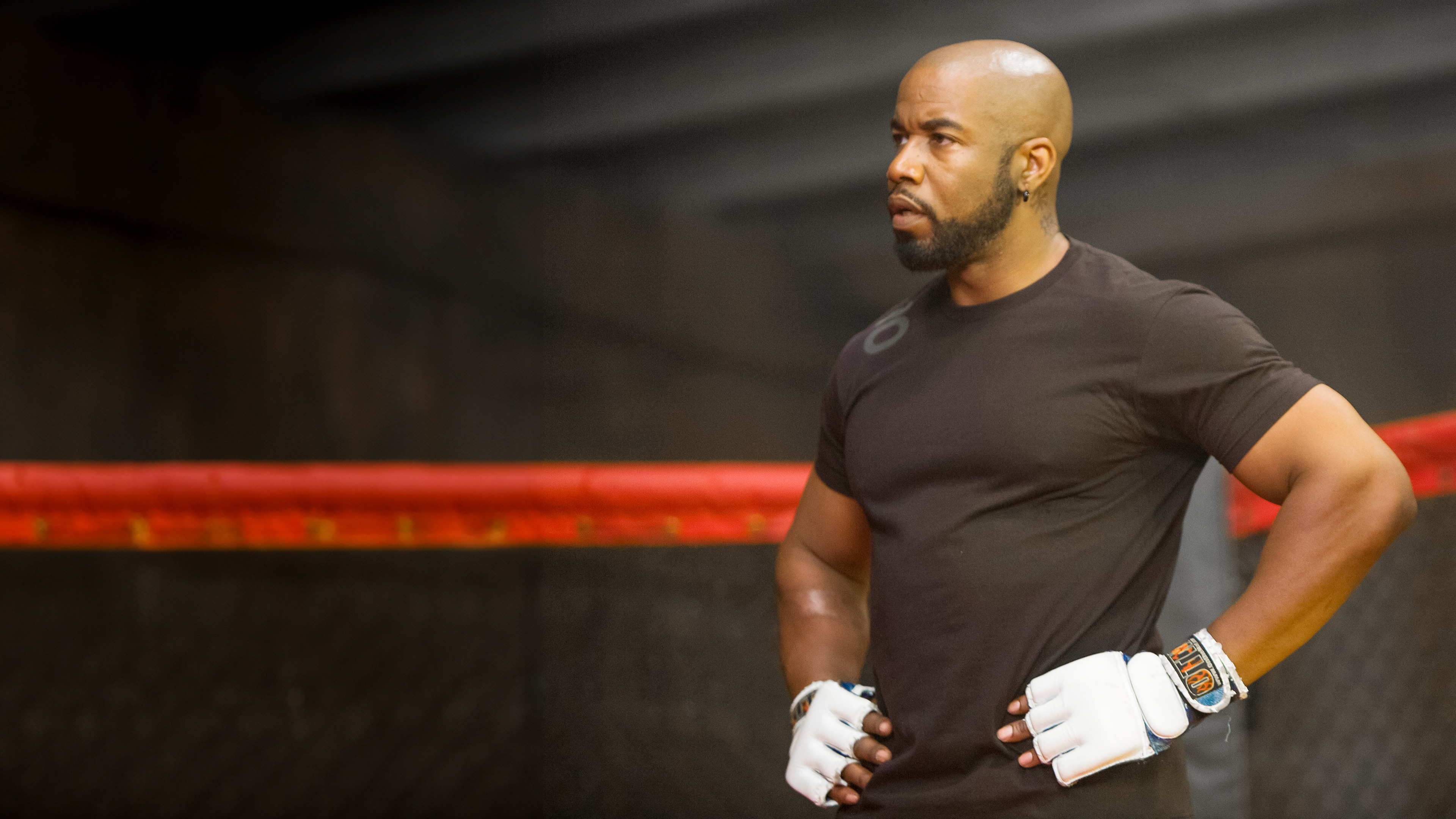 The Fighters 2: Beatdown