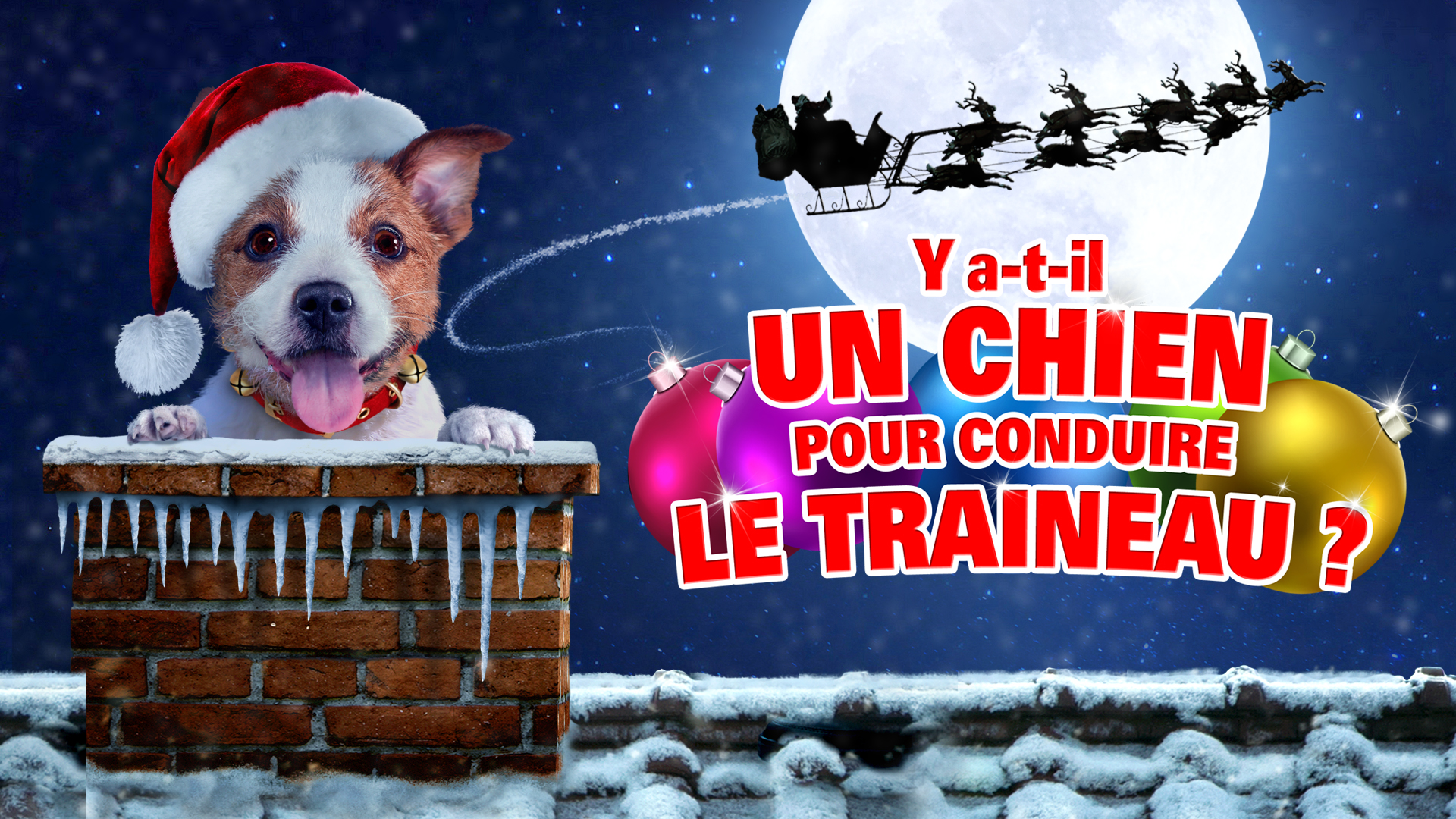 Y a-t-il un chien pour conduire le traîneau ?