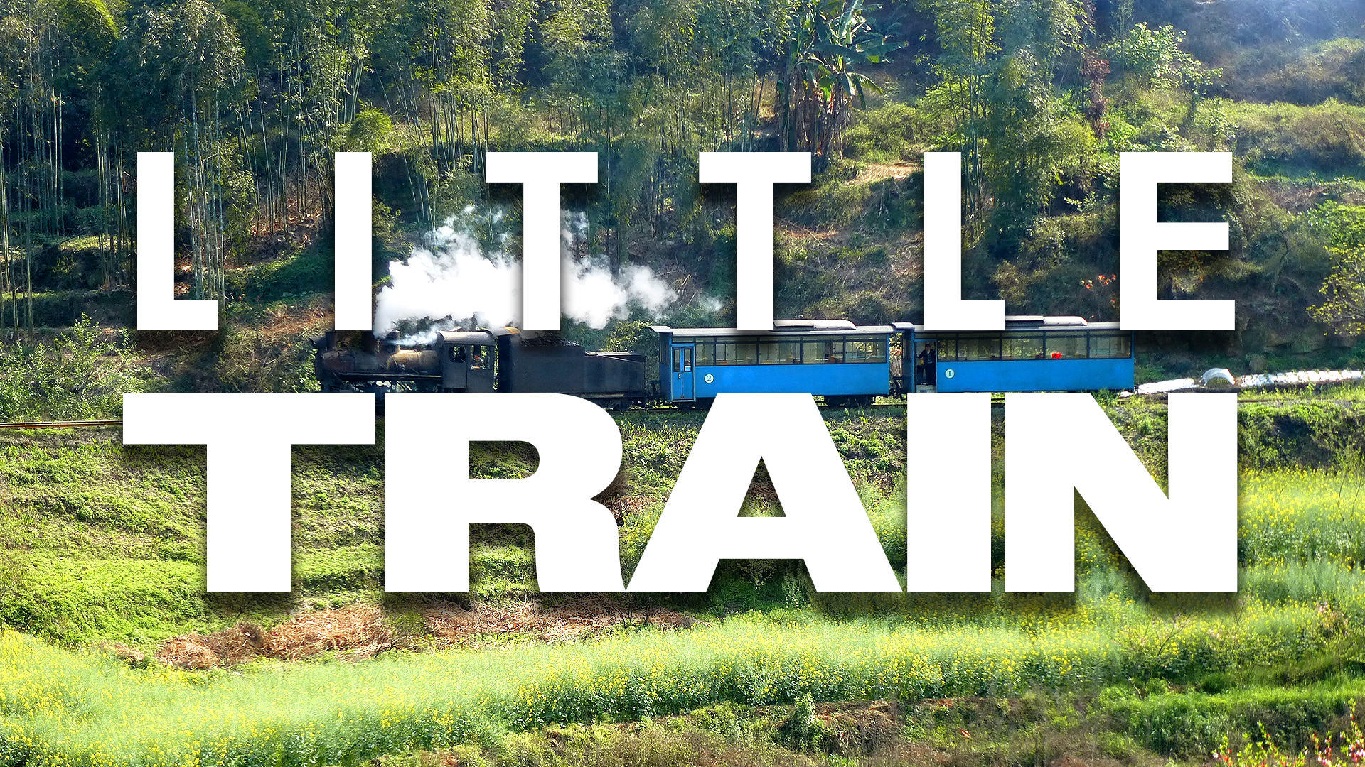 China's Last Little Train