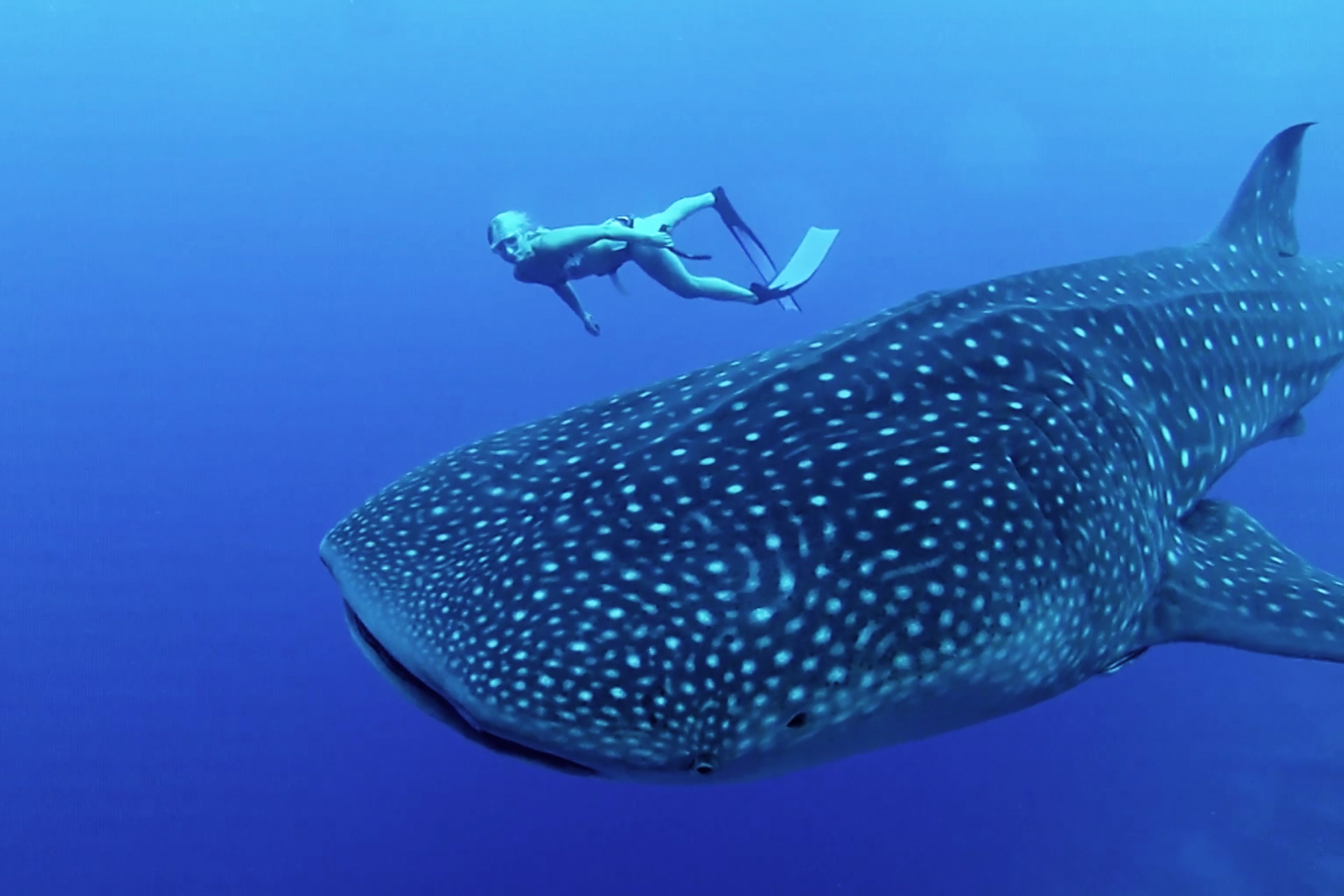 ADVENTURE: Explorers – Adventures of the Century