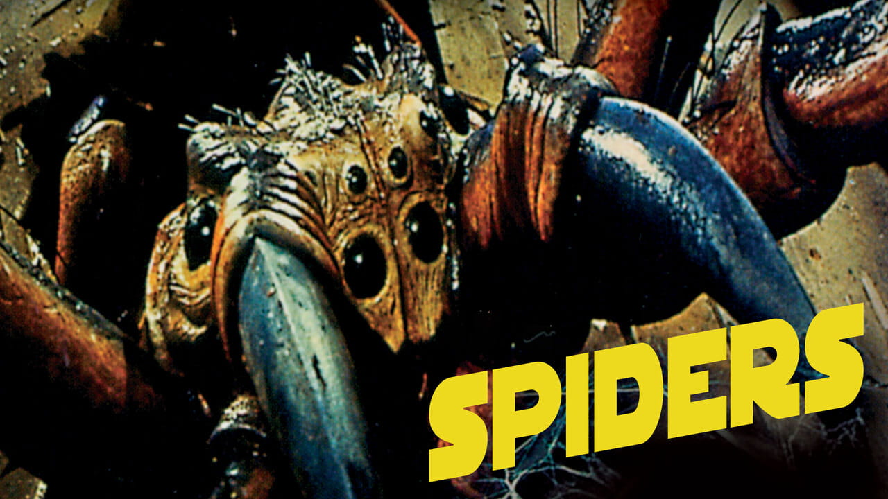 Spiders
