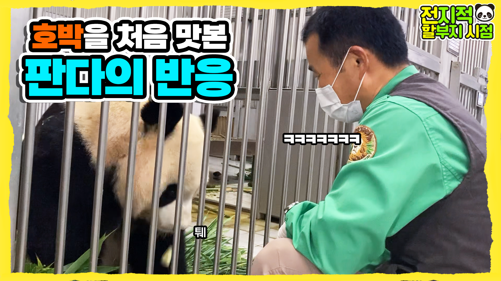 “이건 무슨 맛이지..?” 난생 처음 호박을 맛본 판다 가족 8회