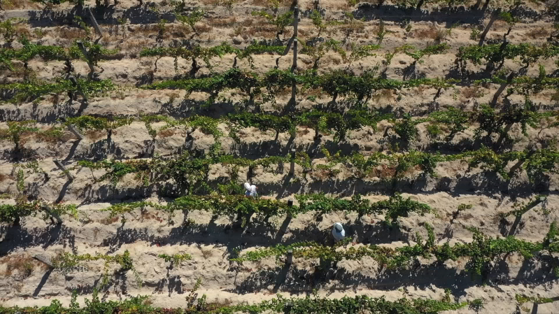 Portugal's Nature Parks