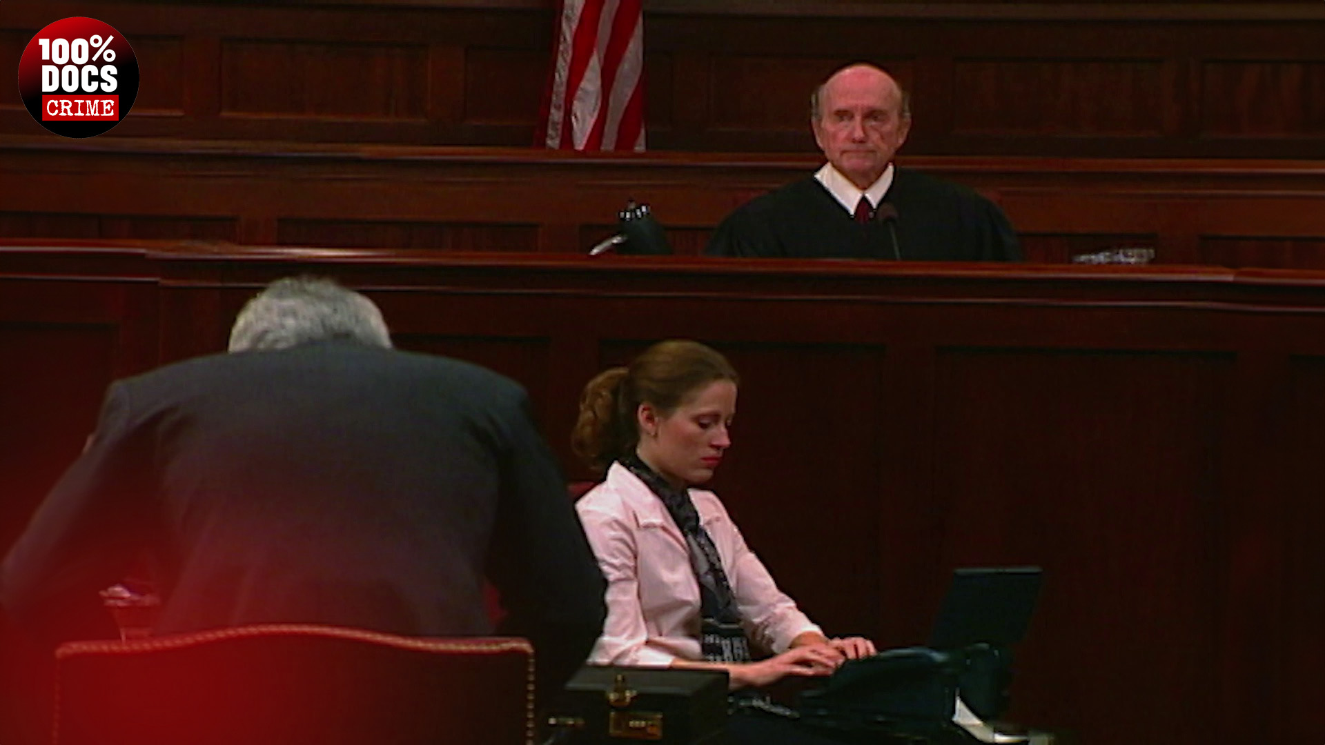 THE PROSECUTORS : IN PURSUIT OF JUSTICE