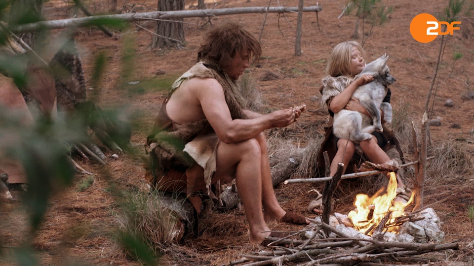 Tiere, die Geschichte schrieben