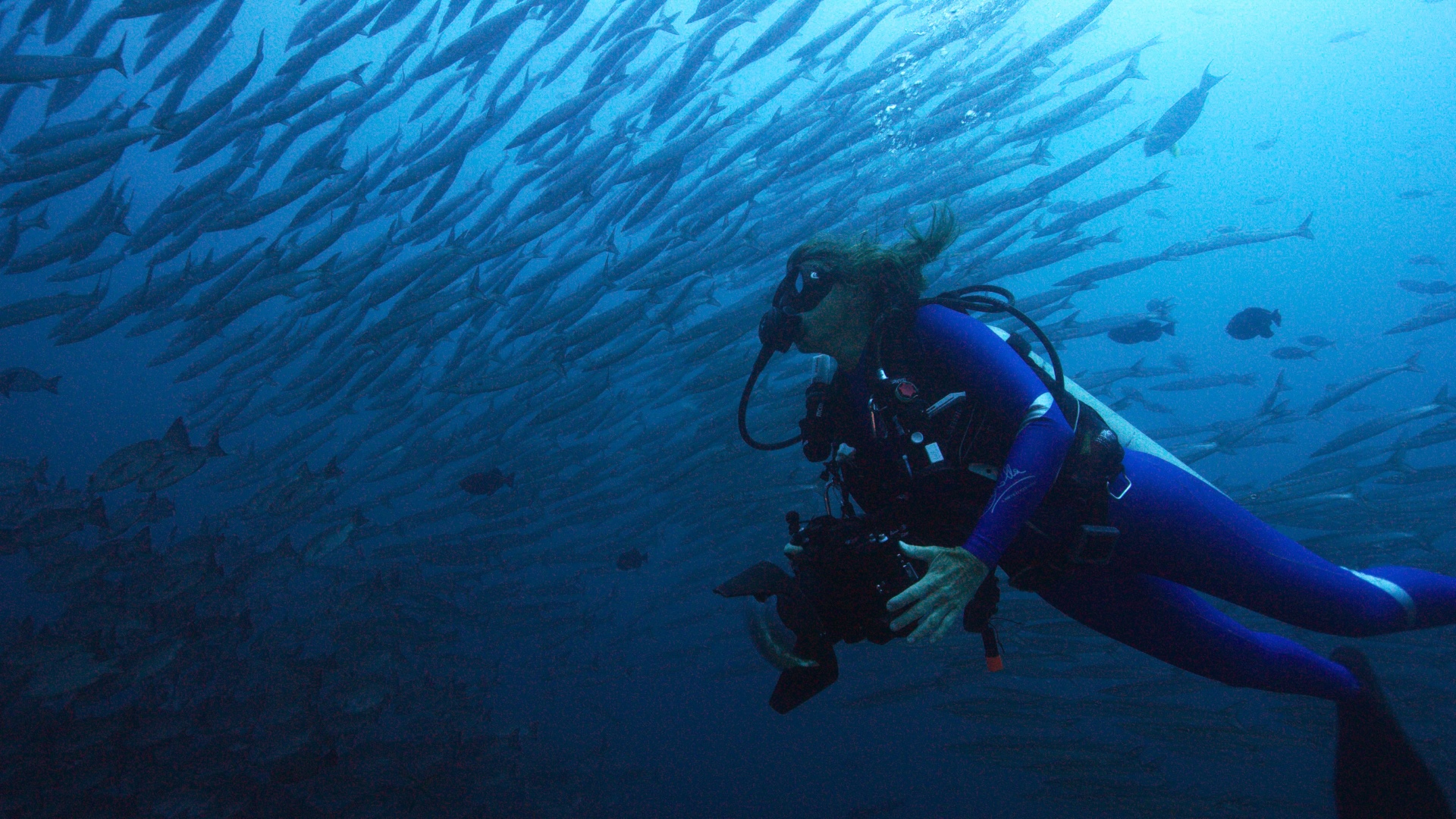 Nausicaa: Recreando la Diversidad Oceanica