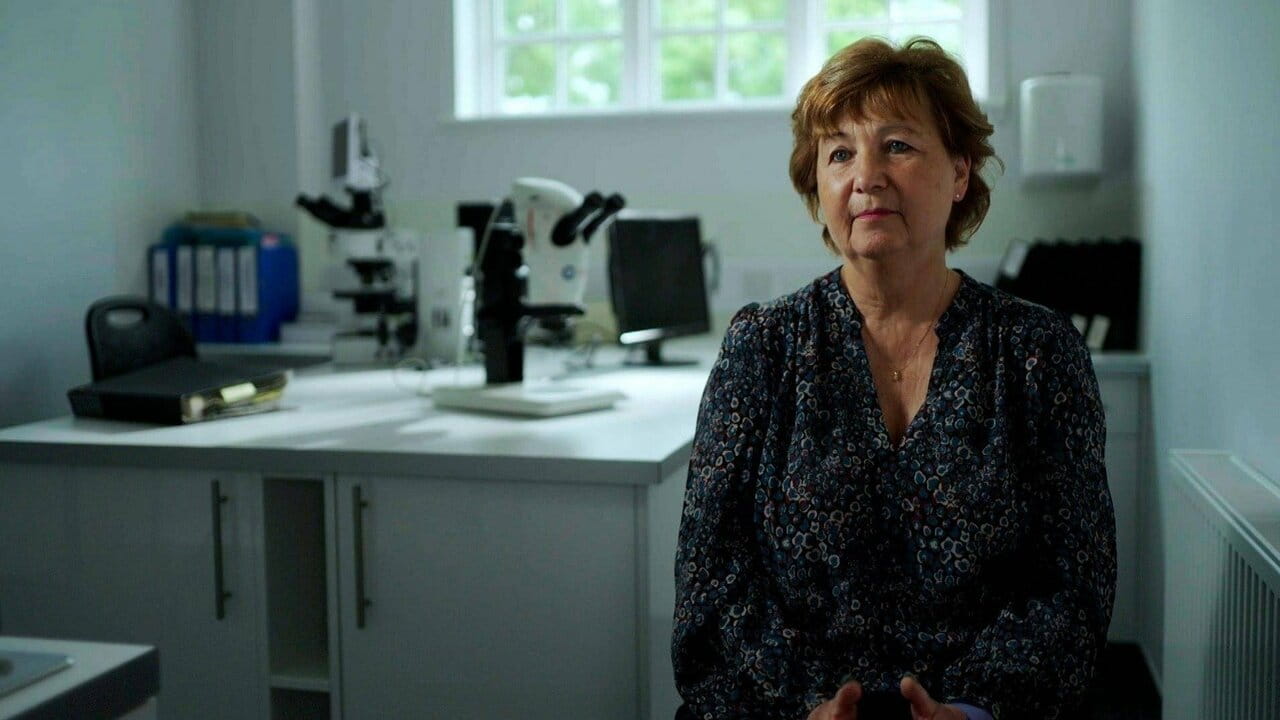 The Truth About My Murder