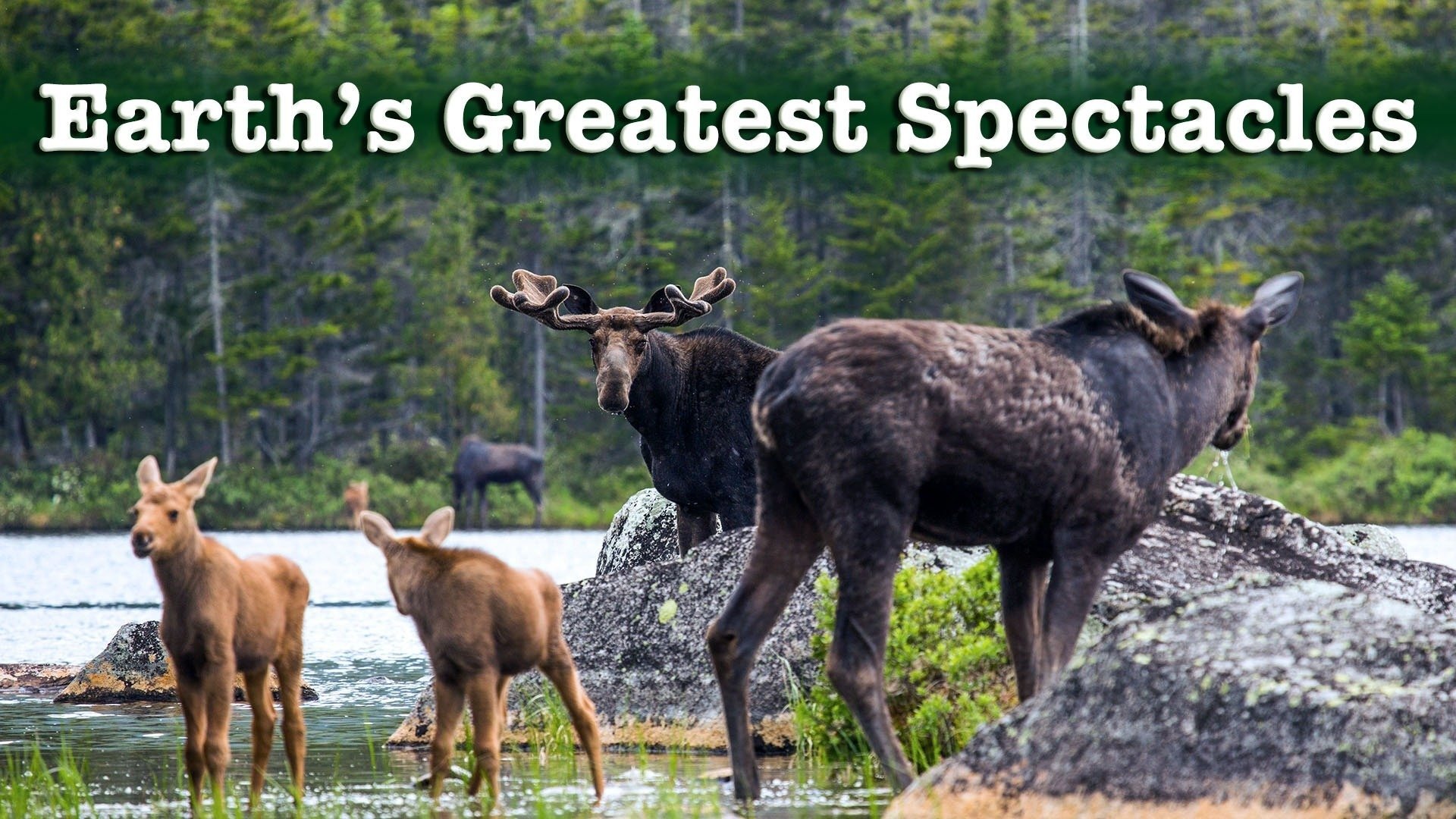 Seasonal Wonderlands