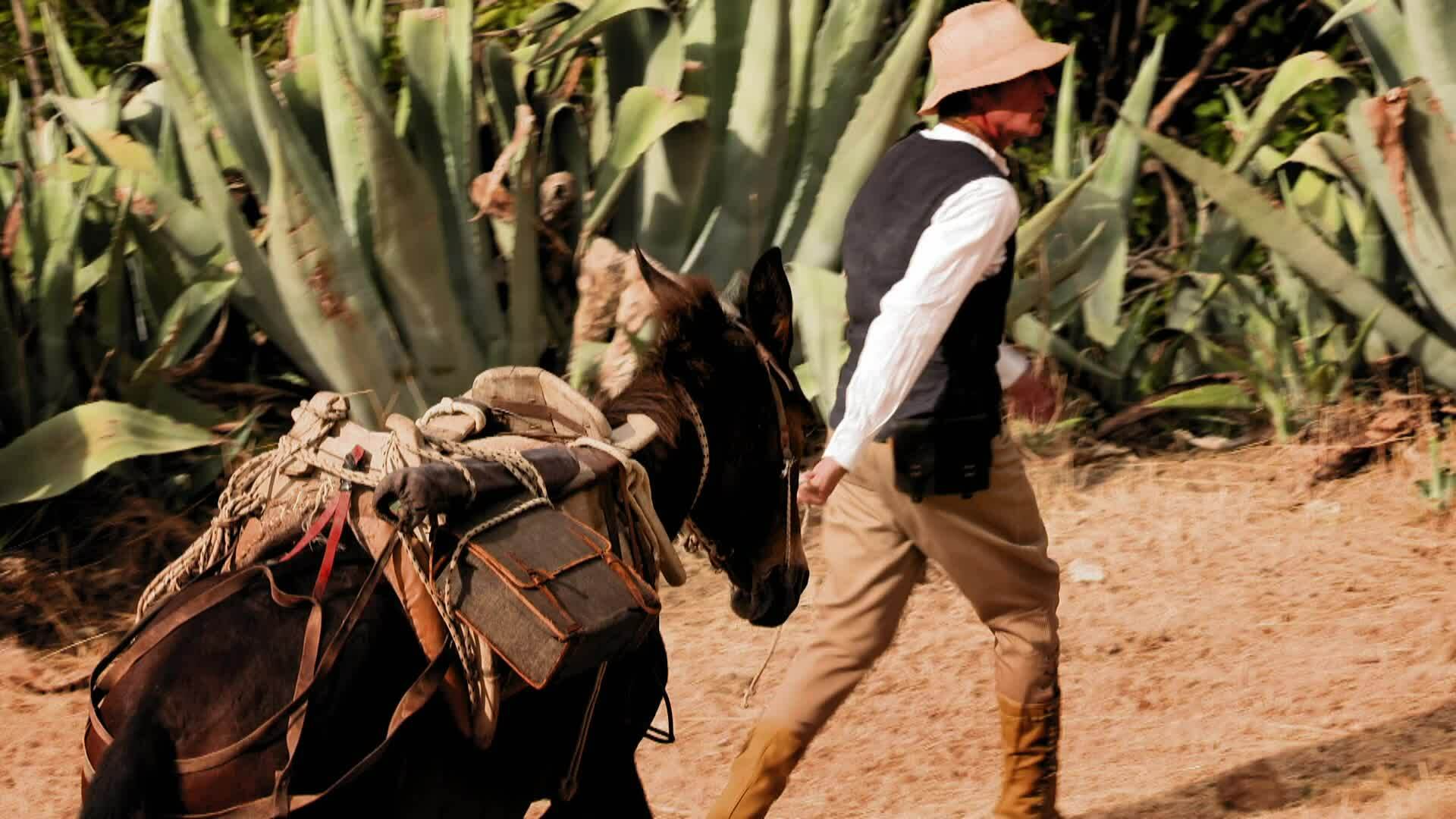 The Secret of the Phaistos Code