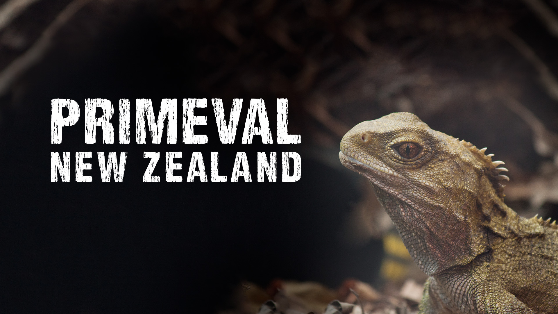 Primeval New Zealand