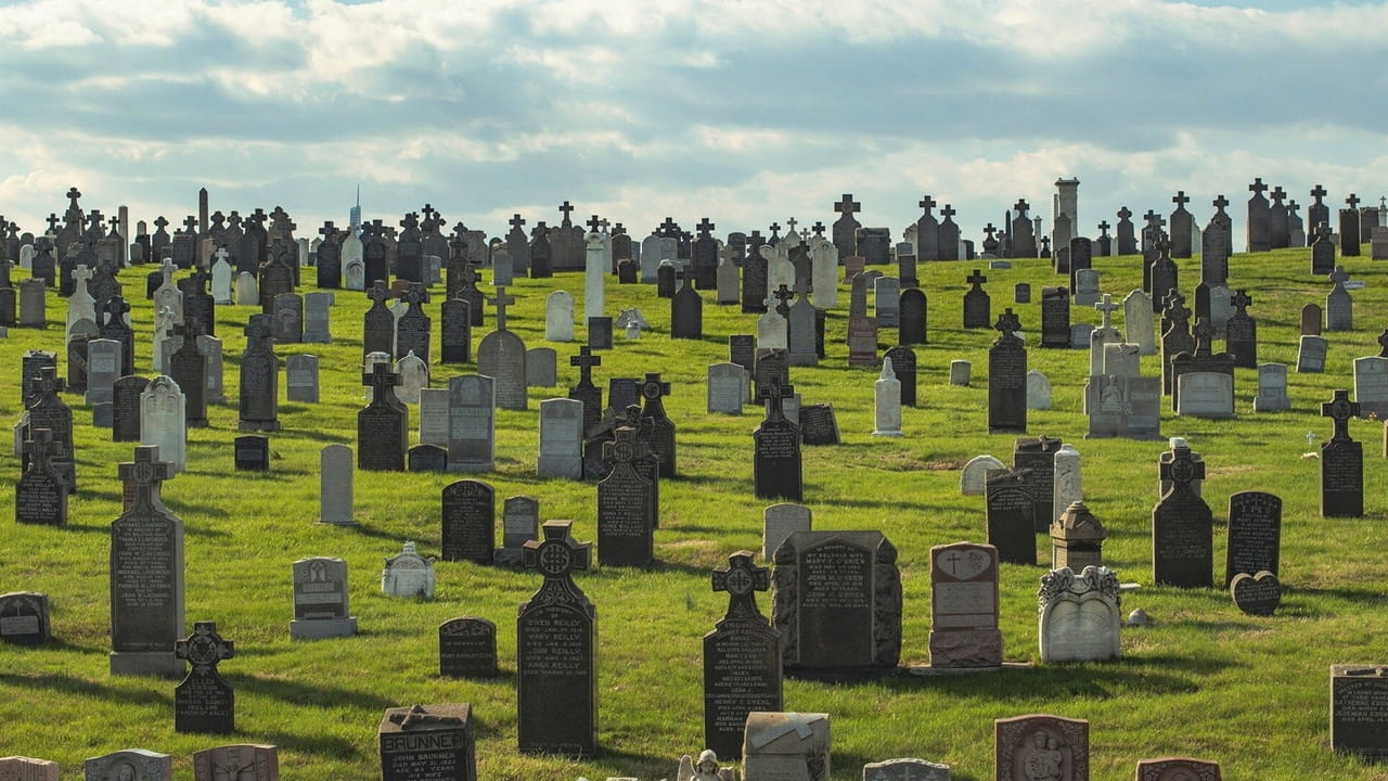 Bloodline Detectives hosted by Nancy Grace