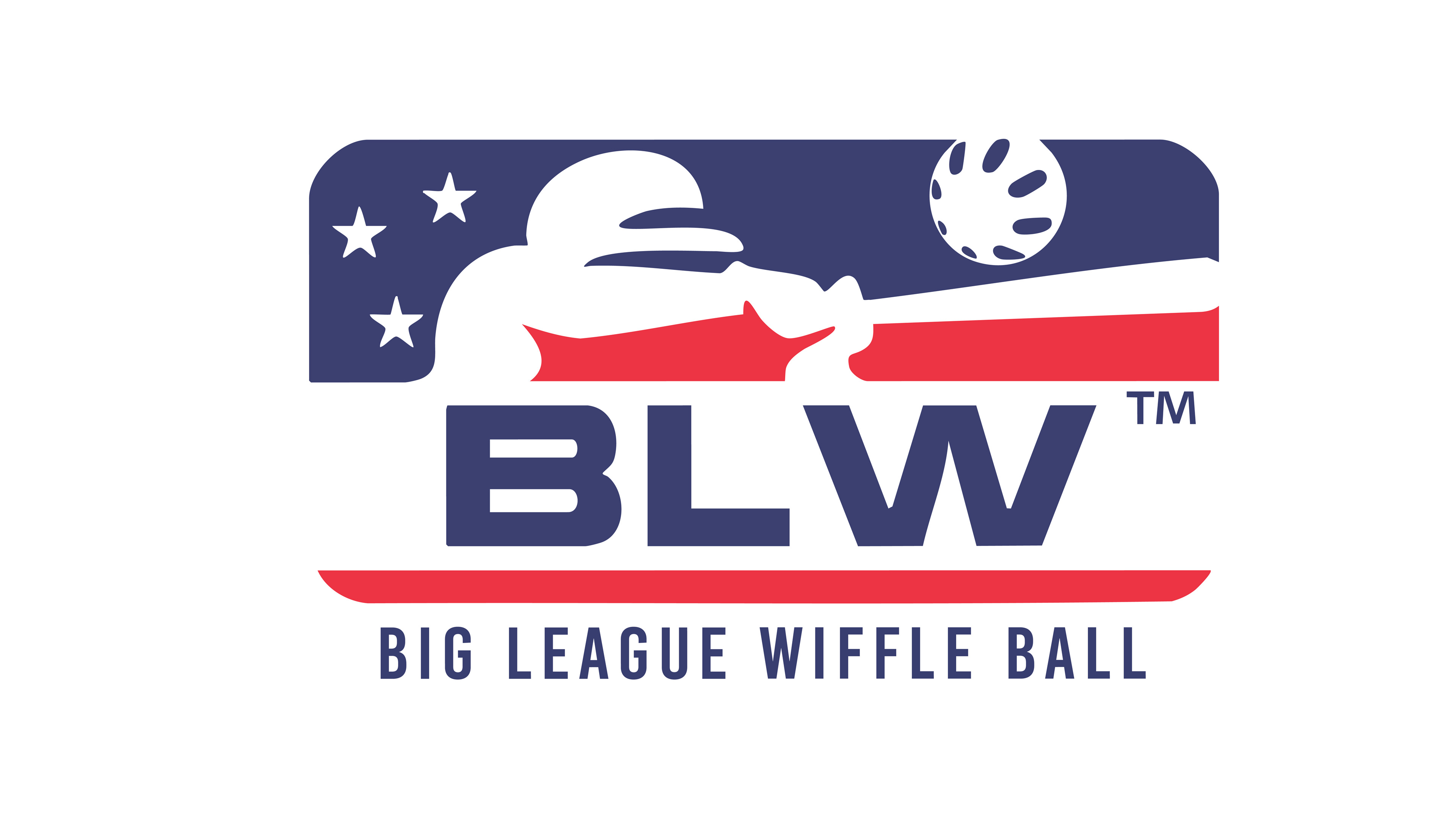 Big League Wiffle Ball
