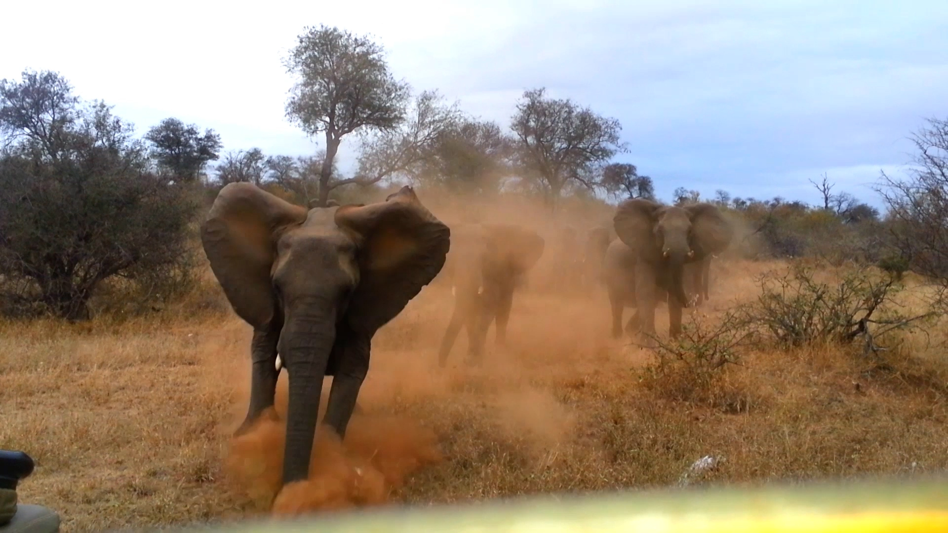 Humans VS. Everything