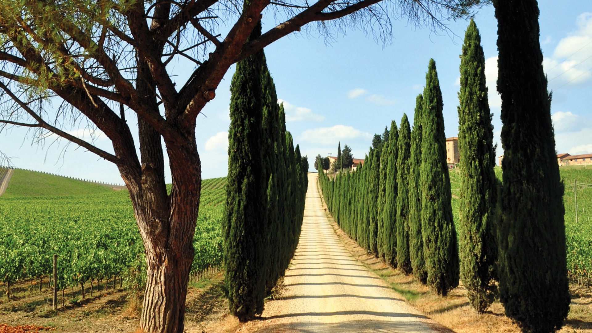 Sur la Route des Vins Ep. 2