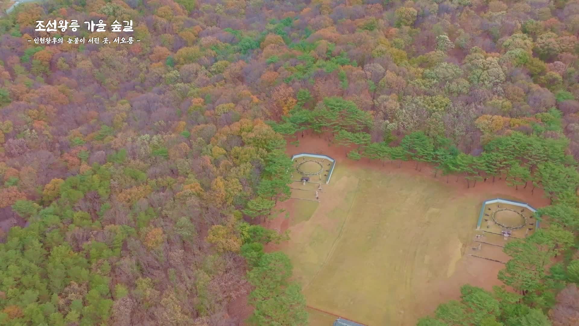 [조선왕릉 가을 숲길] 인현왕후의 눈물이 서린 곳, 서오릉