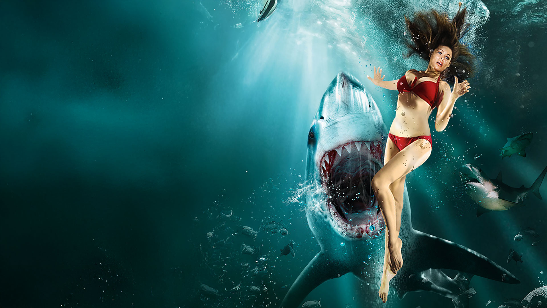 INTRO + FILM SHARKS SILENCIEUX ET MORTEL