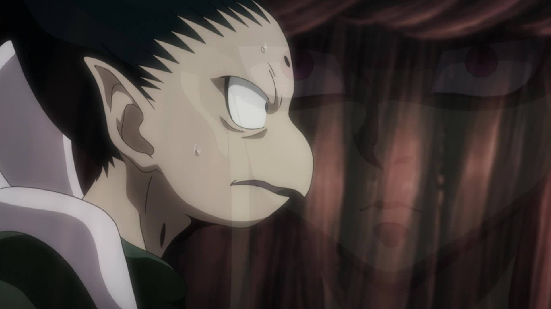 Hunter x Hunter 2011