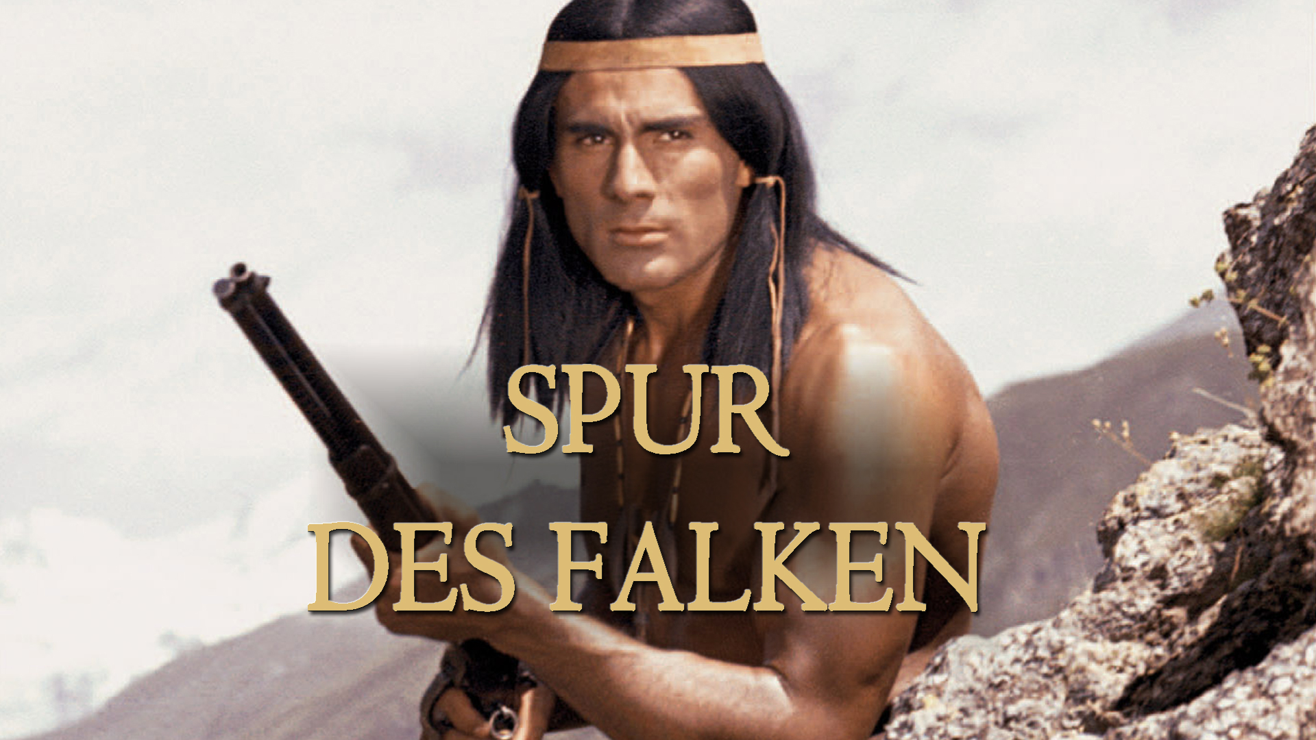 Die Spur des Falken