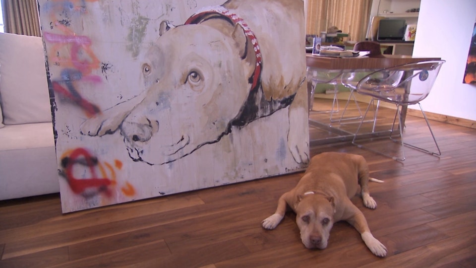 El encantador de perros