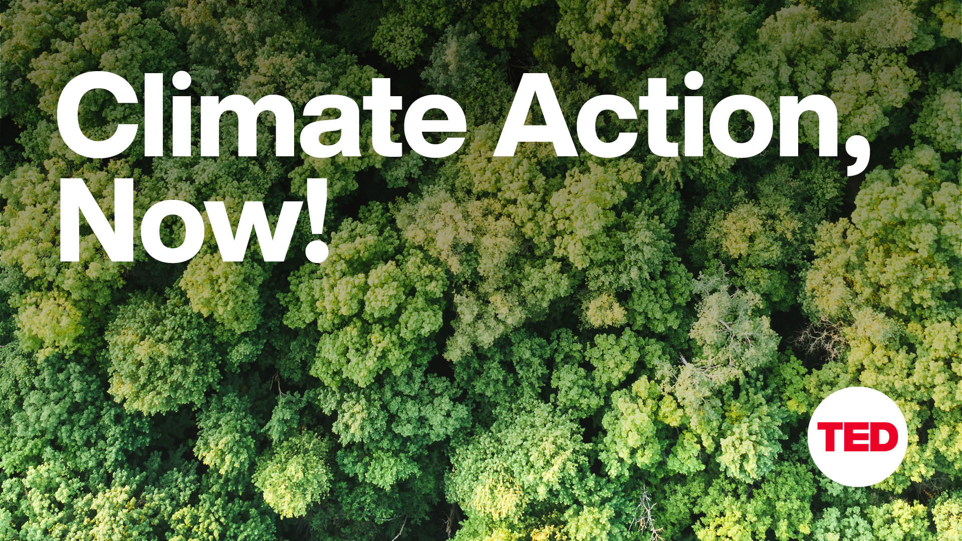 Climate Action, Now! EP62