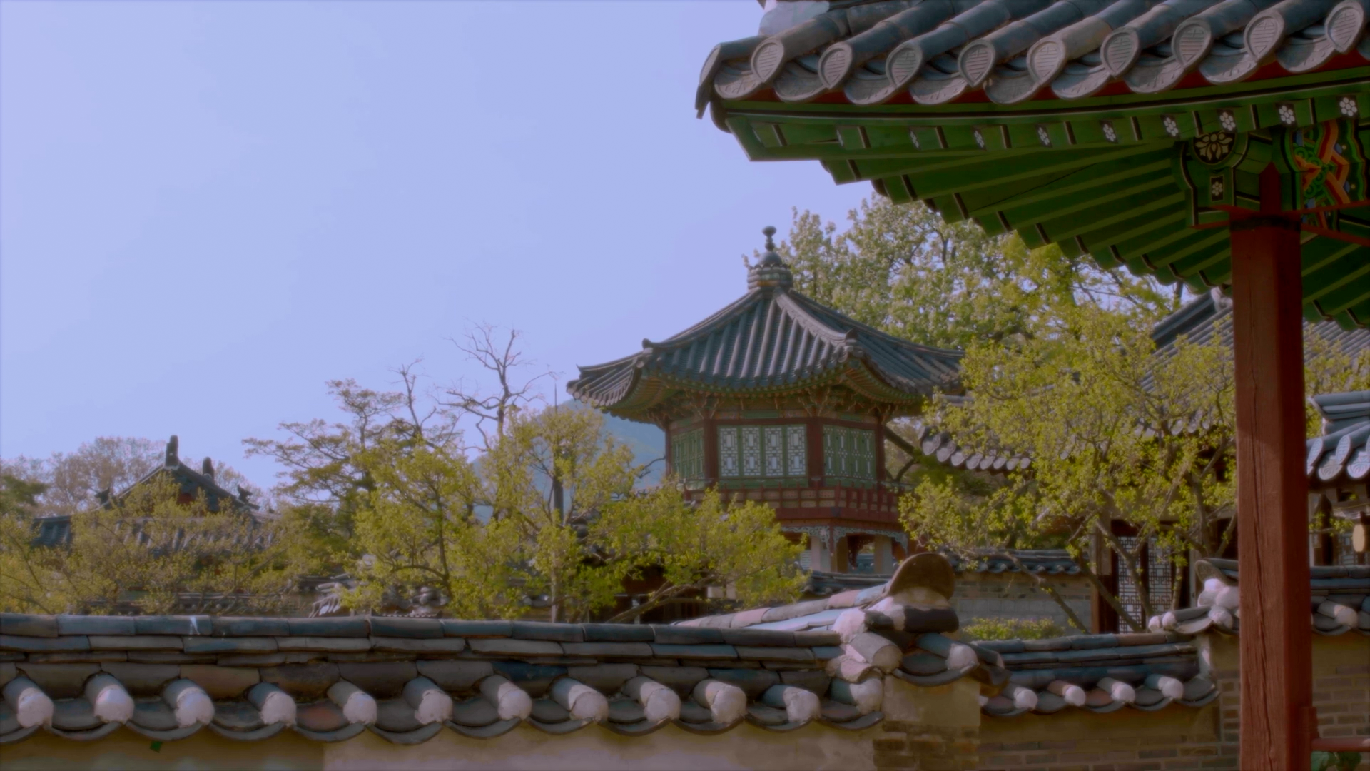 [궁궐 속 비밀의 화원] 창덕궁 낙선재 후원 EP.4