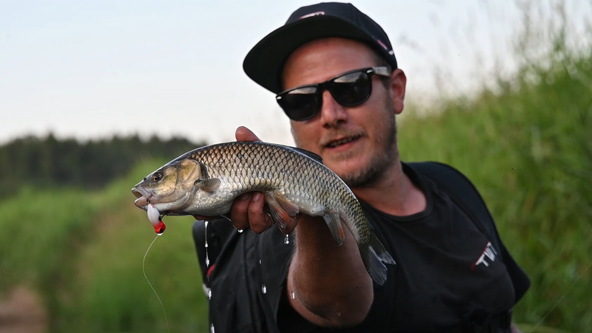 Topwaterangeln im Juni