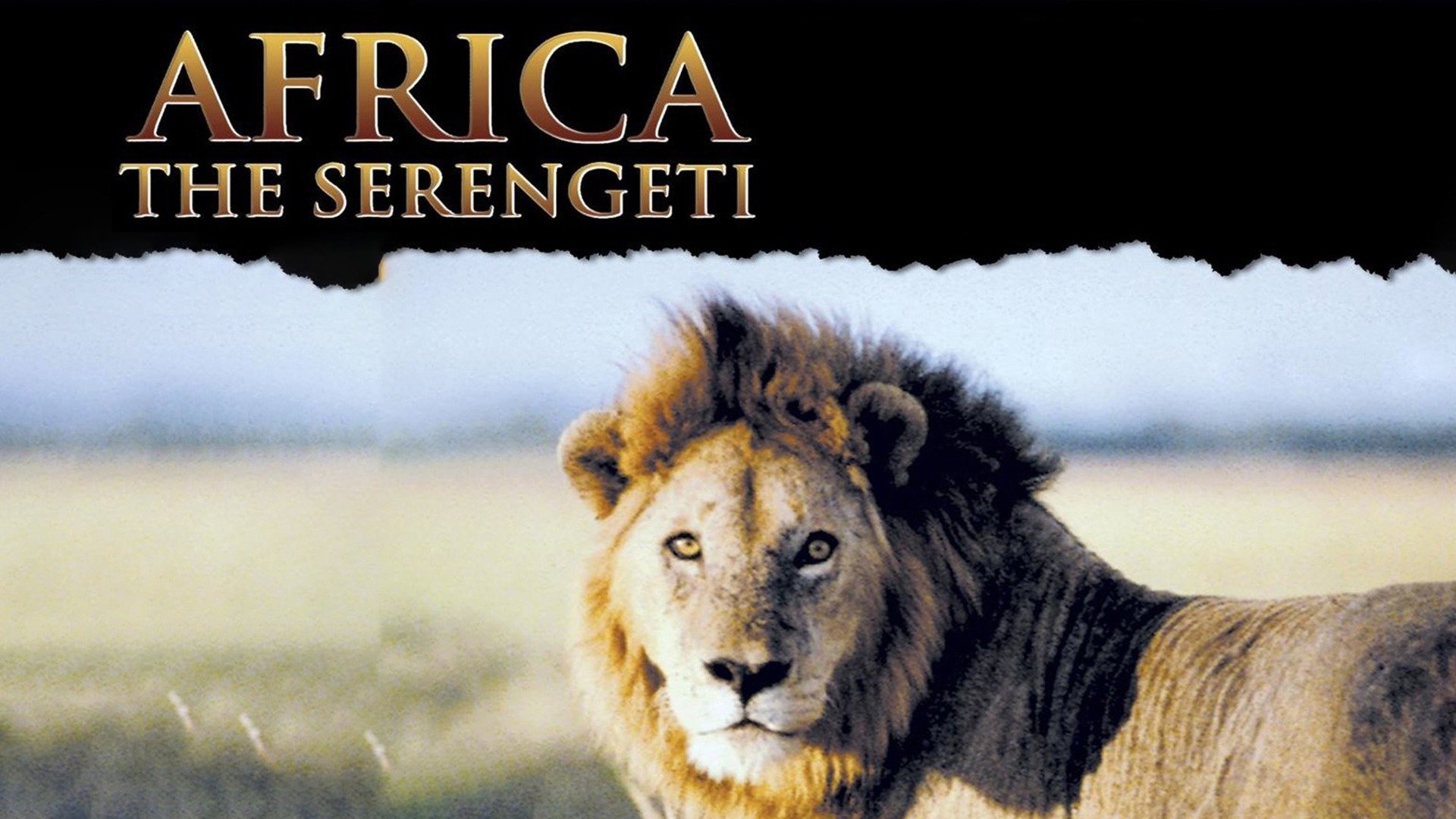 Africa: The Serengeti