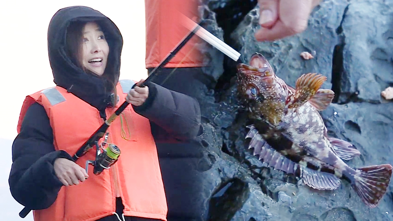 불타는 청춘 141회