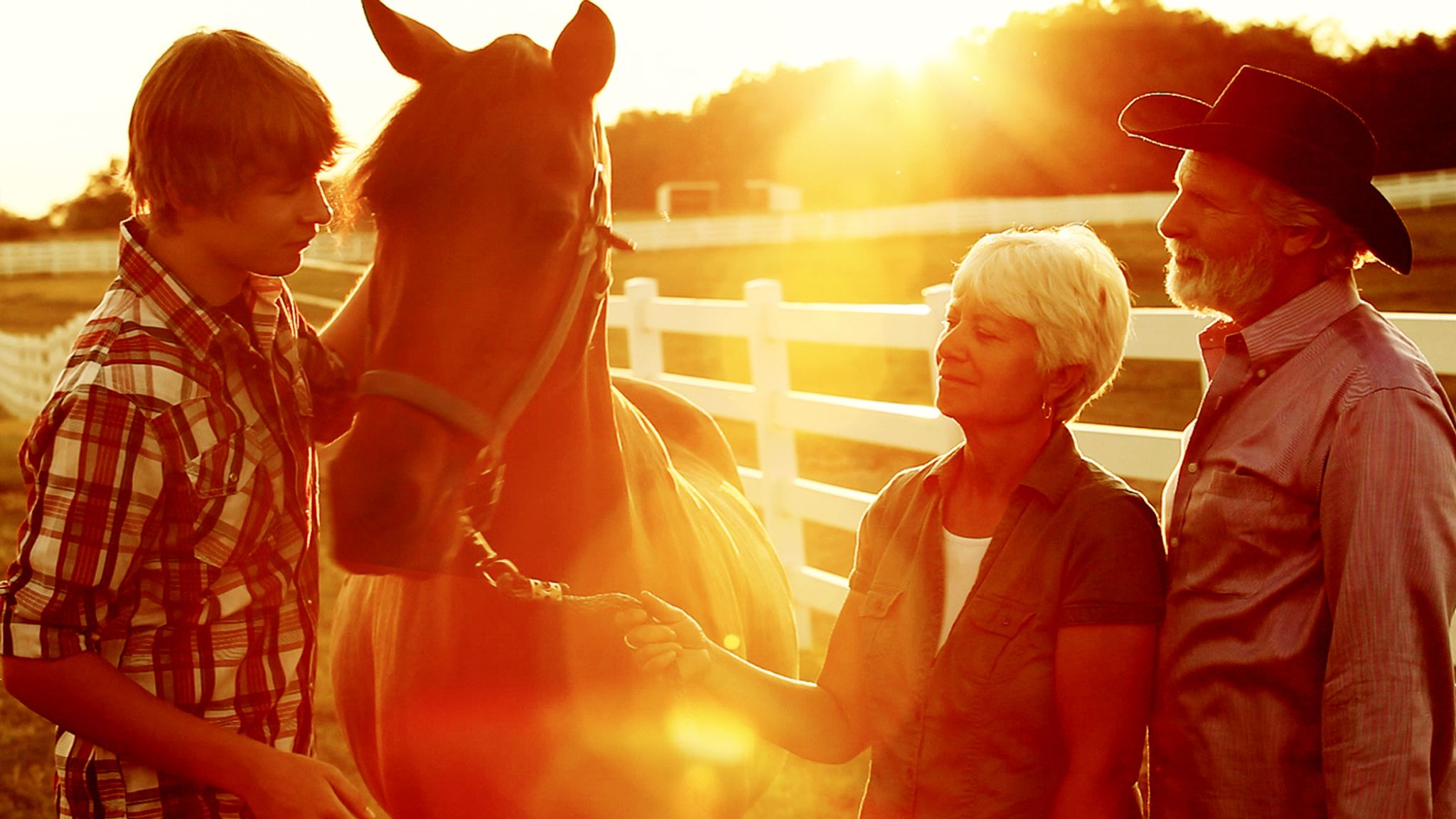 Mein treues Pferd Bär