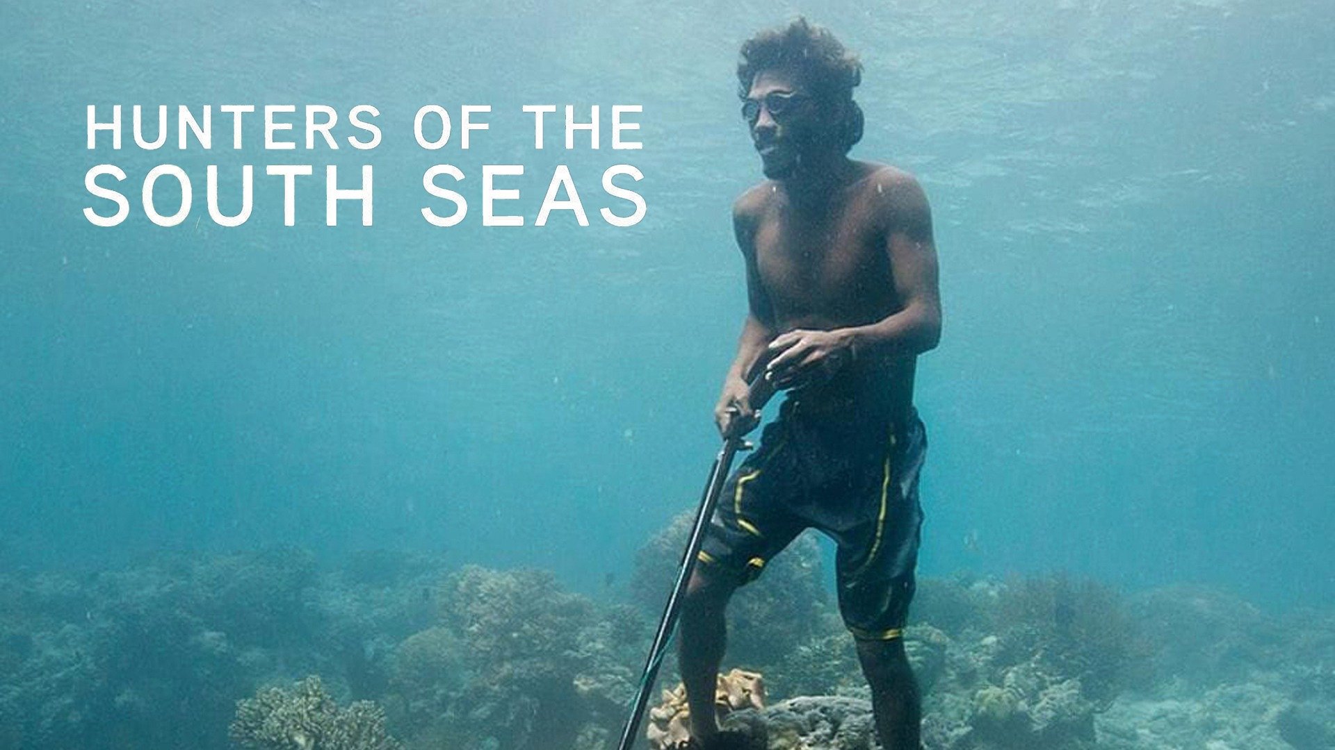 Hunters of the South Seas