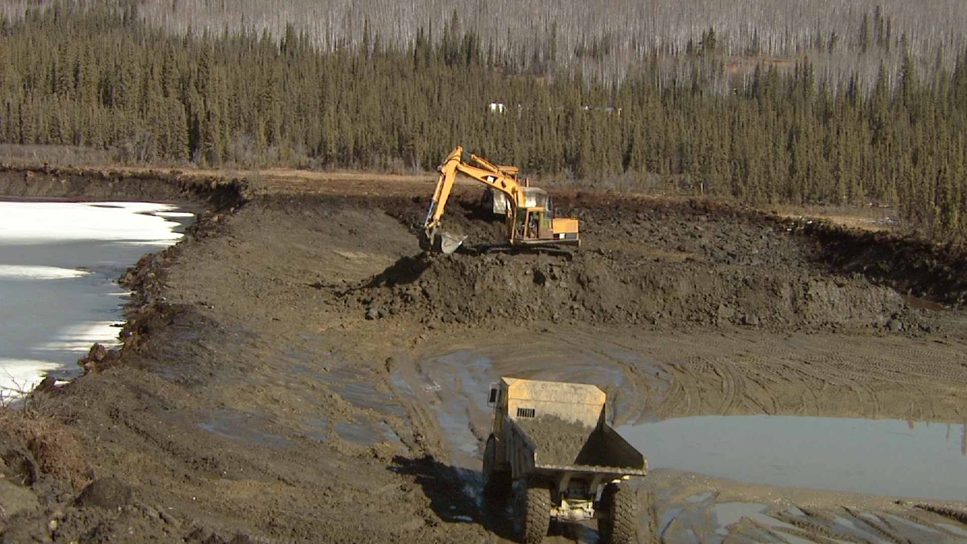 Yukon Gold