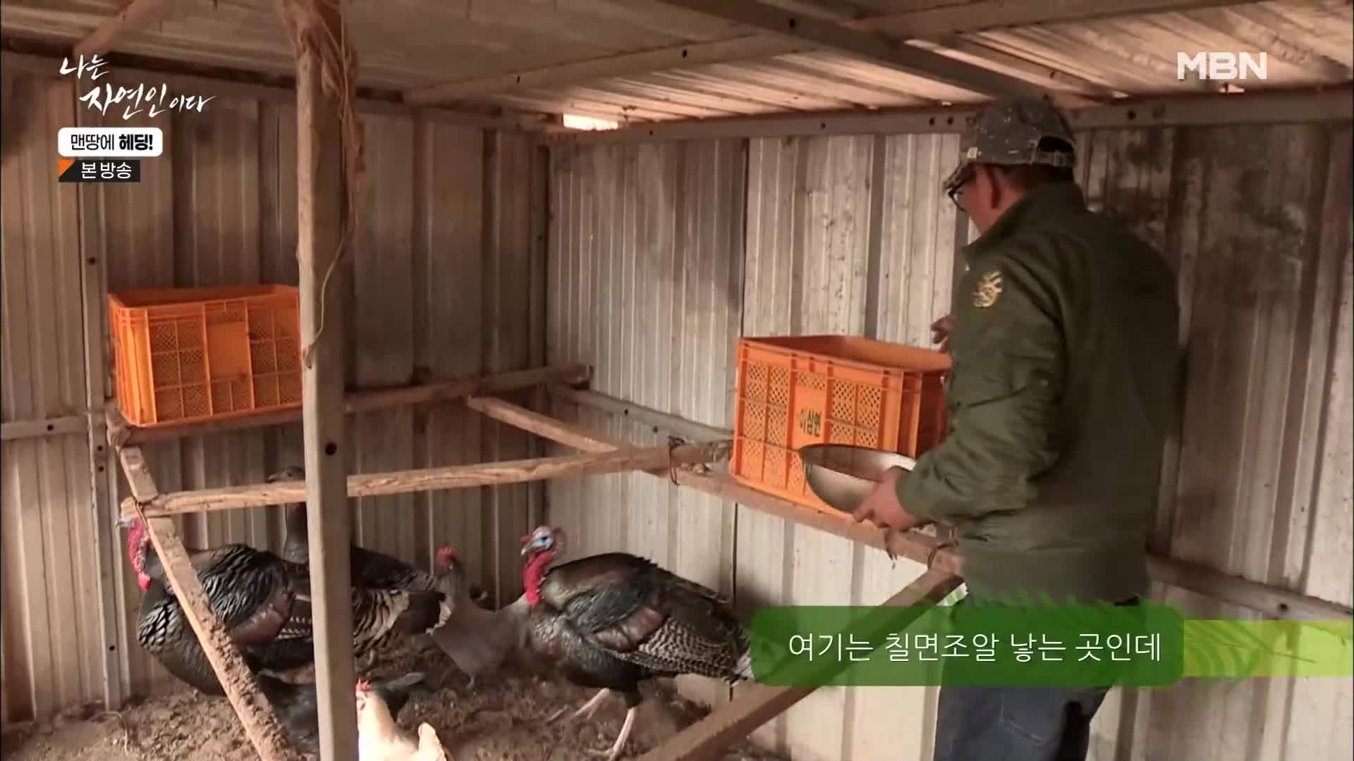 나는 자연인이다 547회